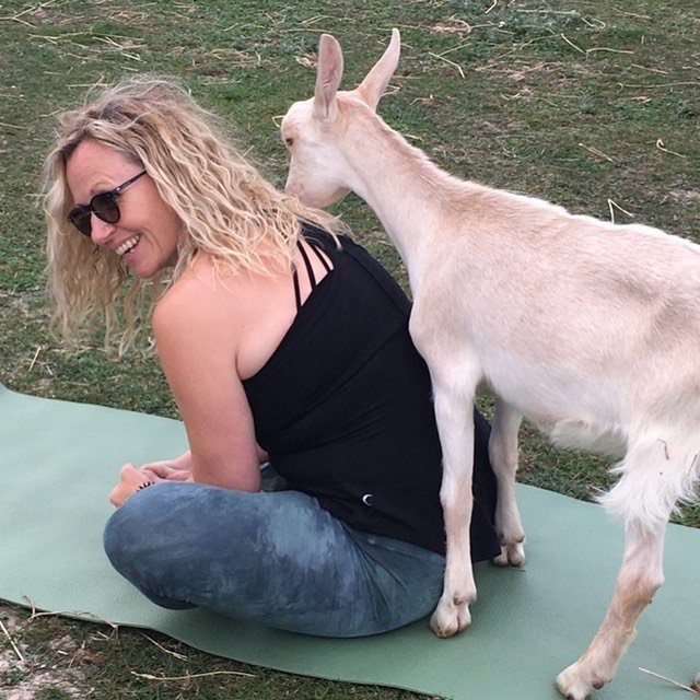 goat yoga 3.jpg