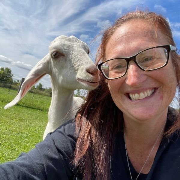 goat 3.jpeg