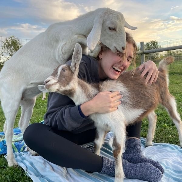 goat 1.jpeg