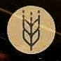 Harvest Hills - An Apostolic Church