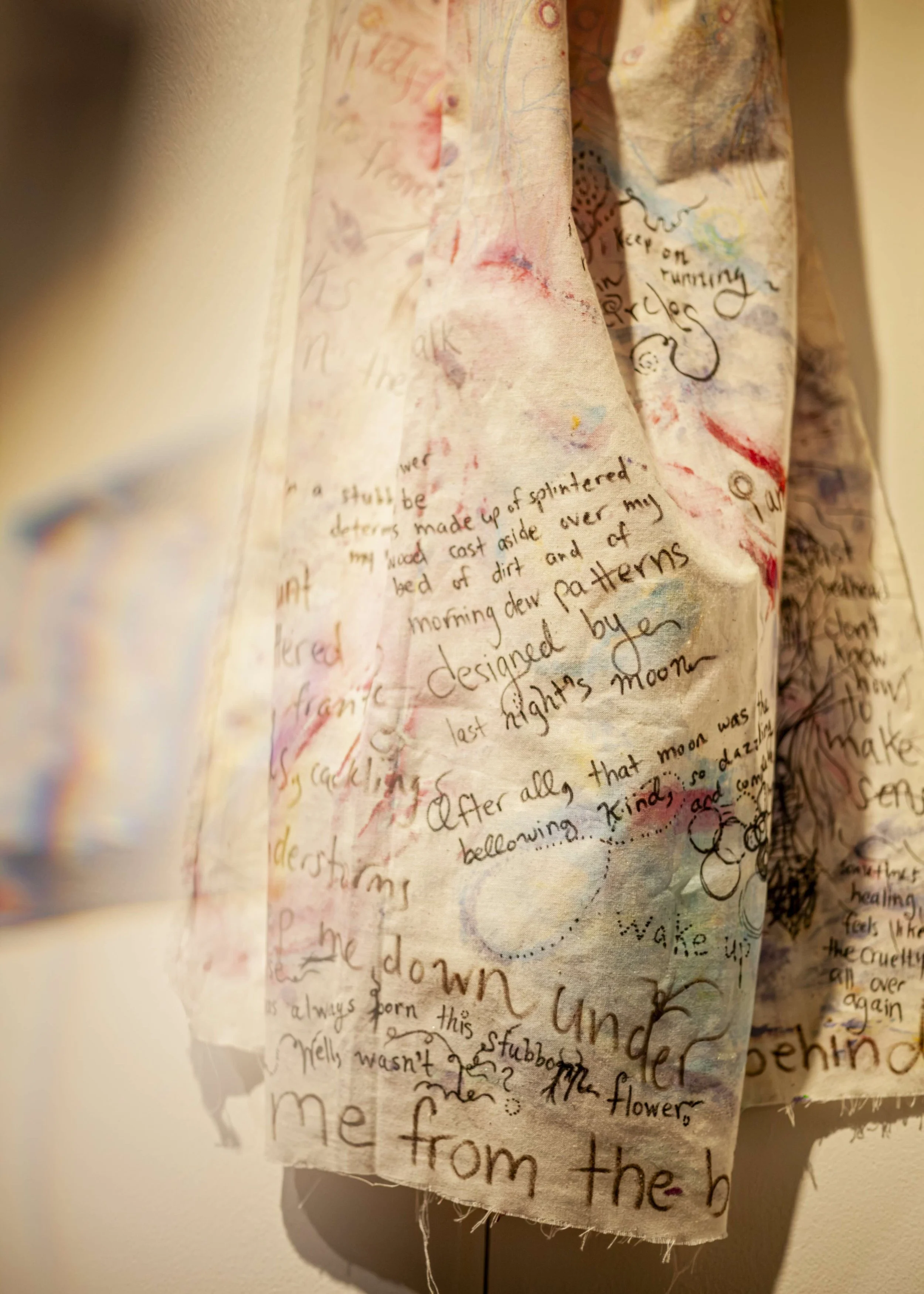 cape-made-by-multidisciplinary-artist-nicole-javorsky.jpeg