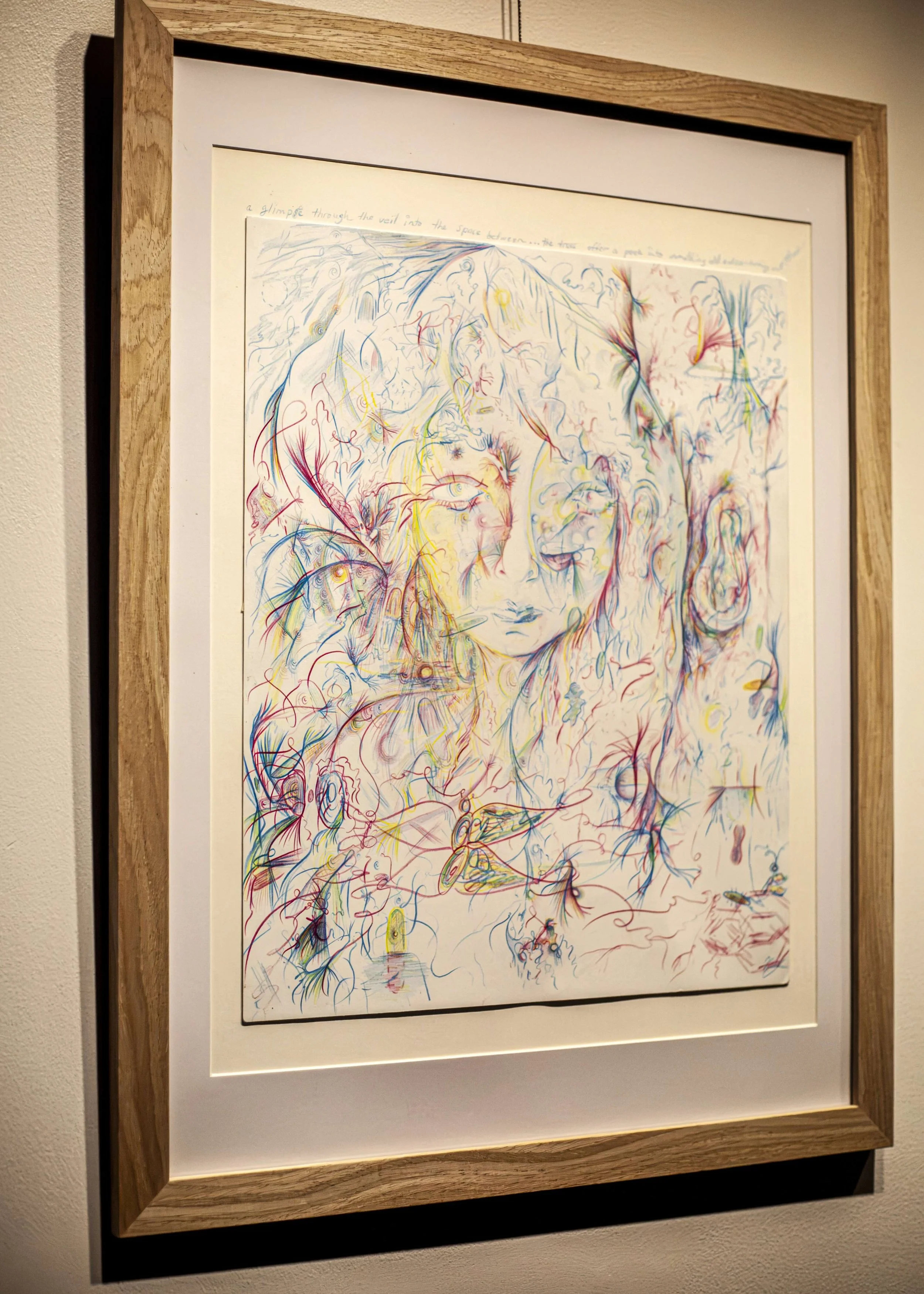 drawing-by-nicole-javorsky-shown-framed-in-her-solo-exhibit.jpeg