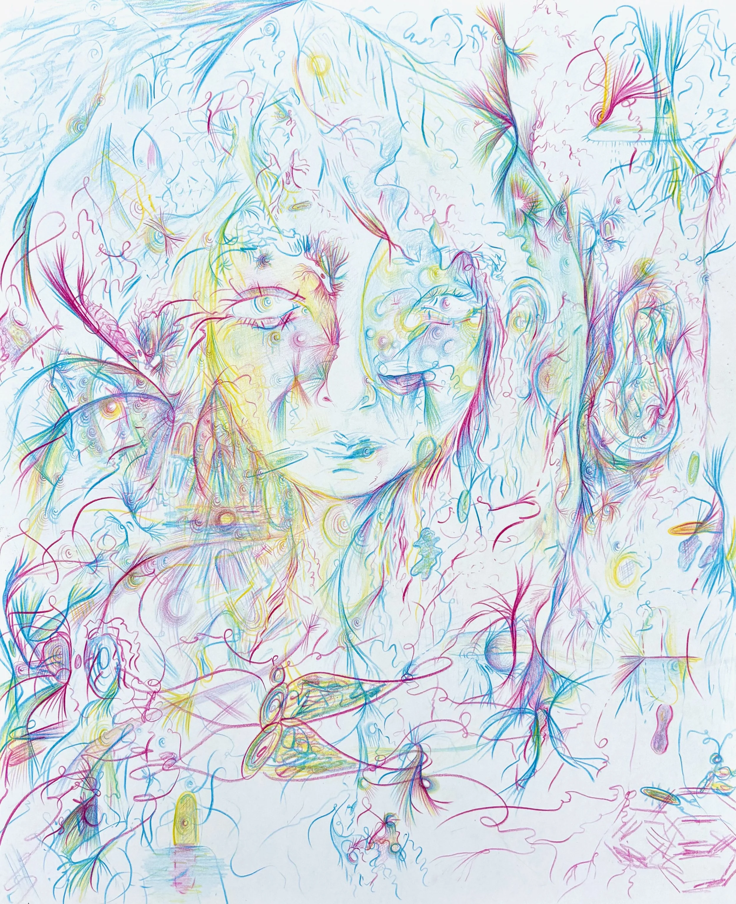 Nicole Sylvia Javorsky_a glimpse through the veil into the space between ... the trees offer a peek into something old and everlasting and true, 2026, Colored pencil on Bristol paper, 17 x 14 inches.jpeg
