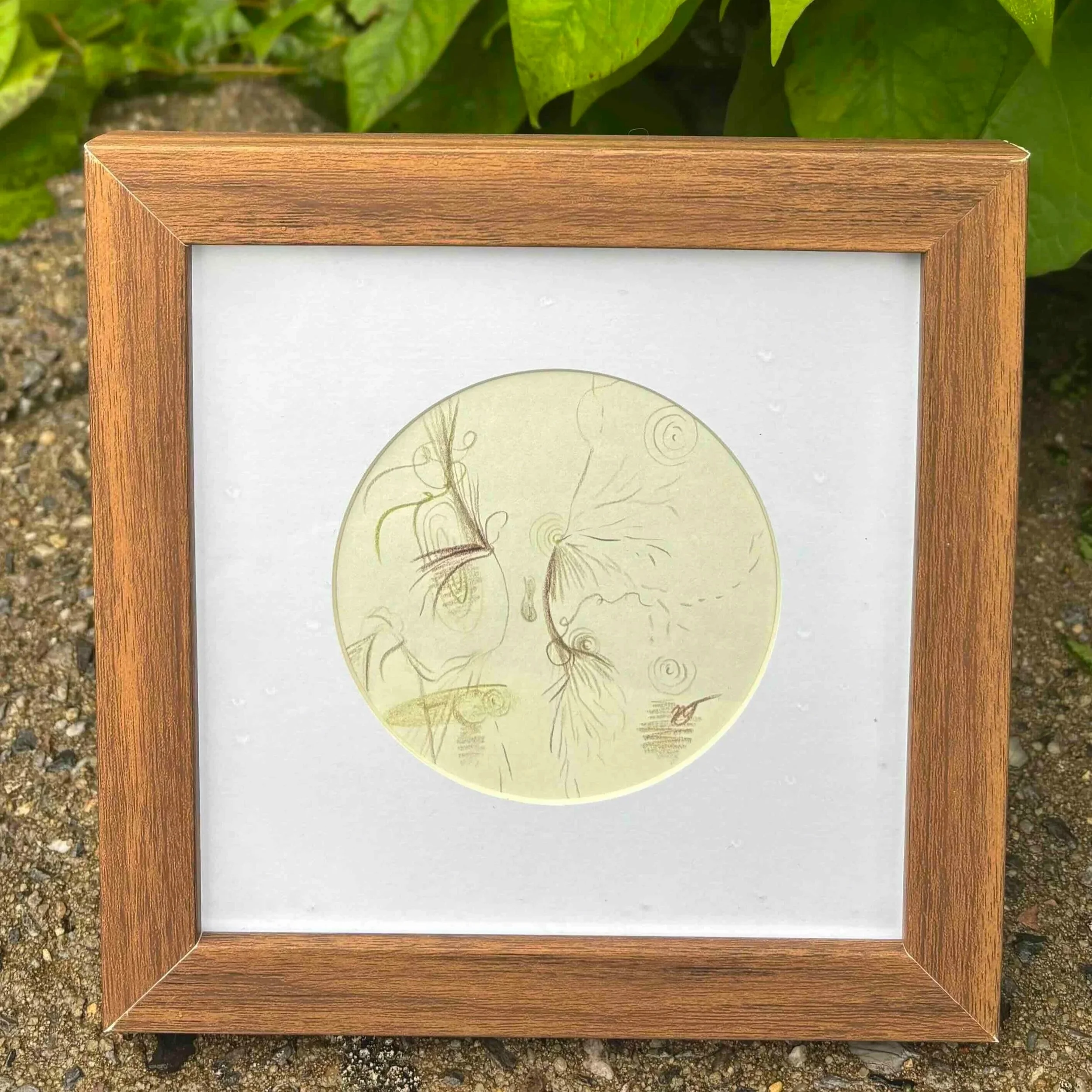 drawing-in-wood-frame-by-fine-artist-nicole-sylvia-javorsky.jpg