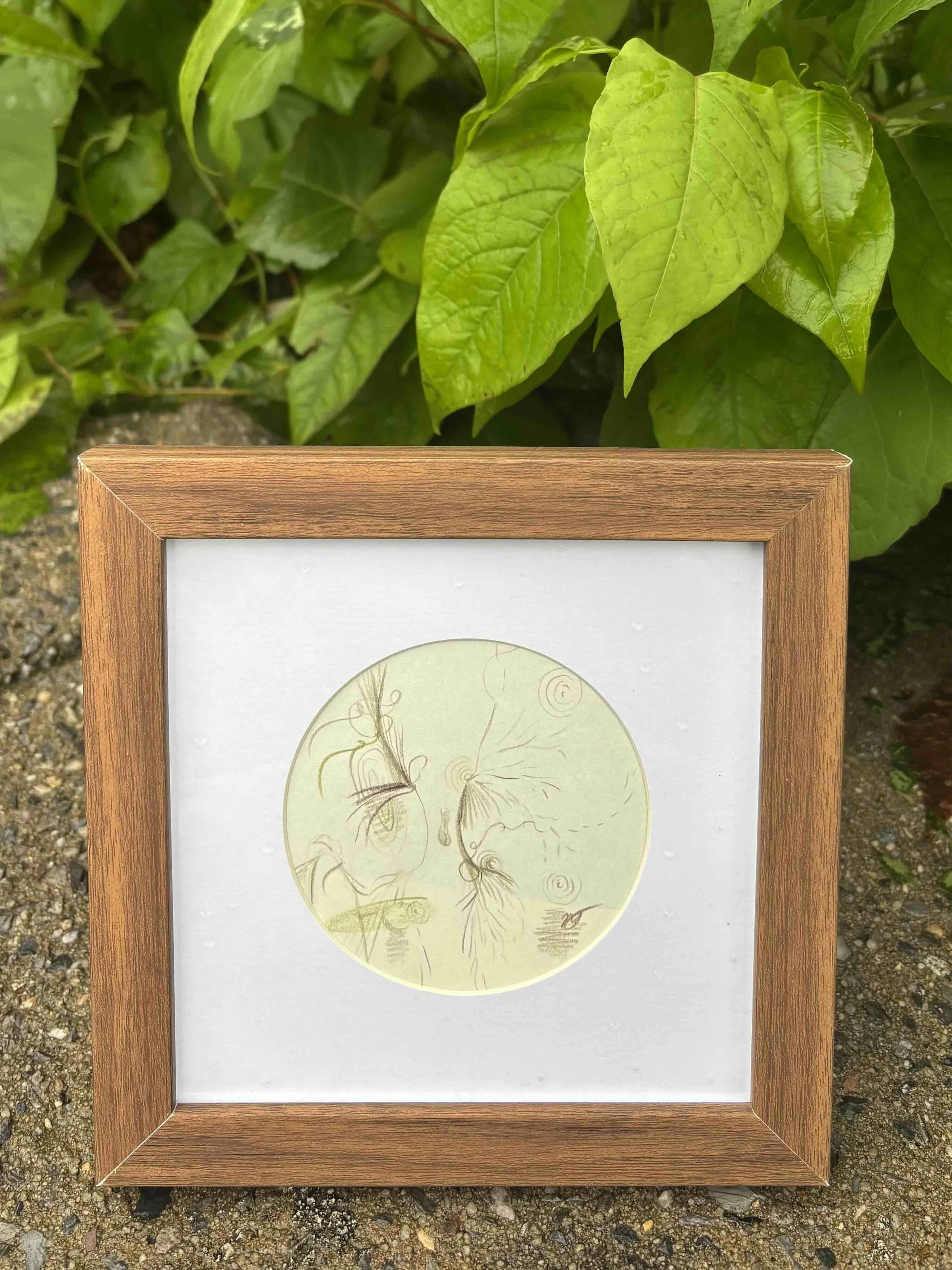 drawing-in-wood-frame-surrounded-by-leaves.jpg