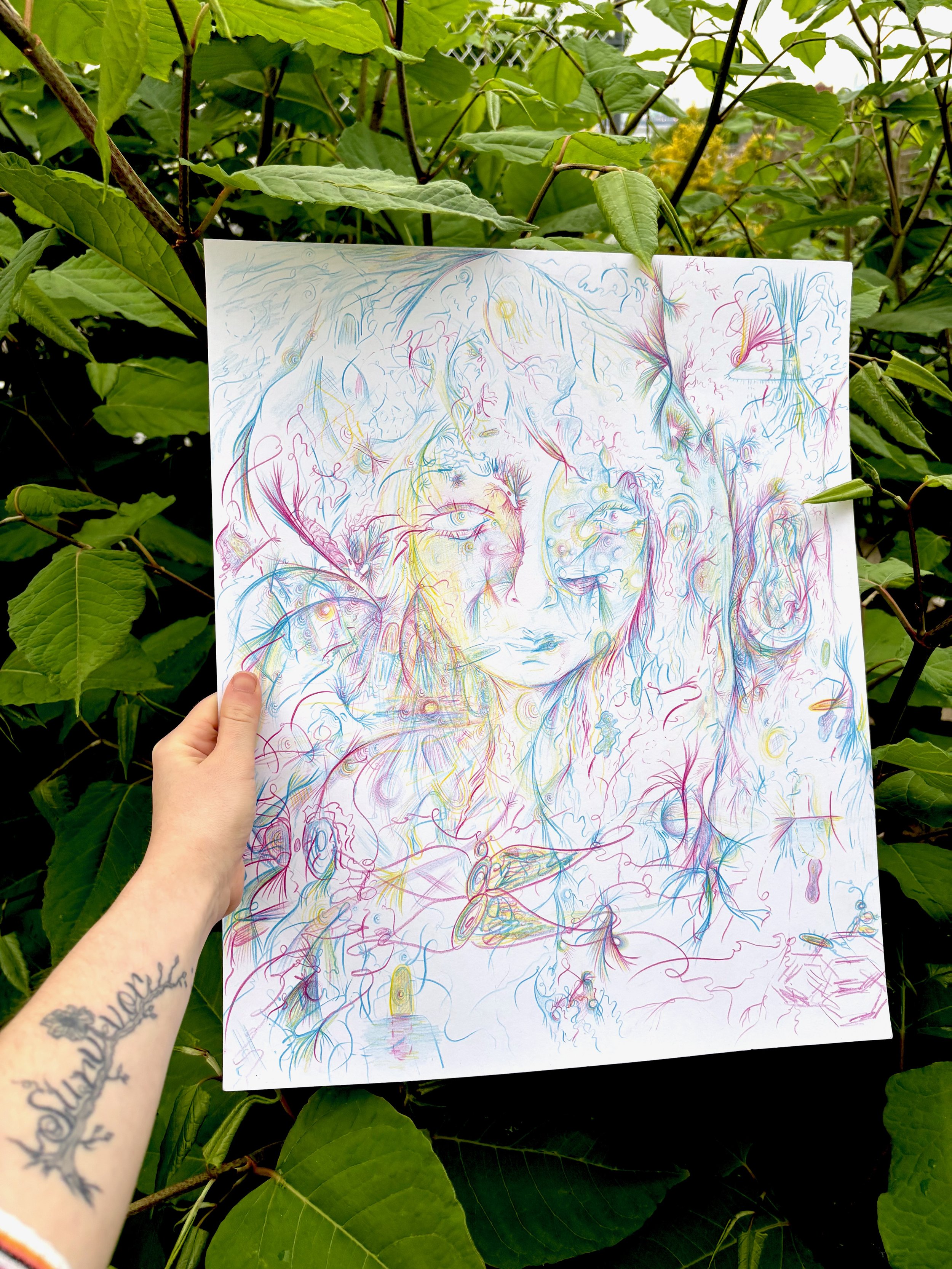 colorful, whimsical drawing among lush, green leaves