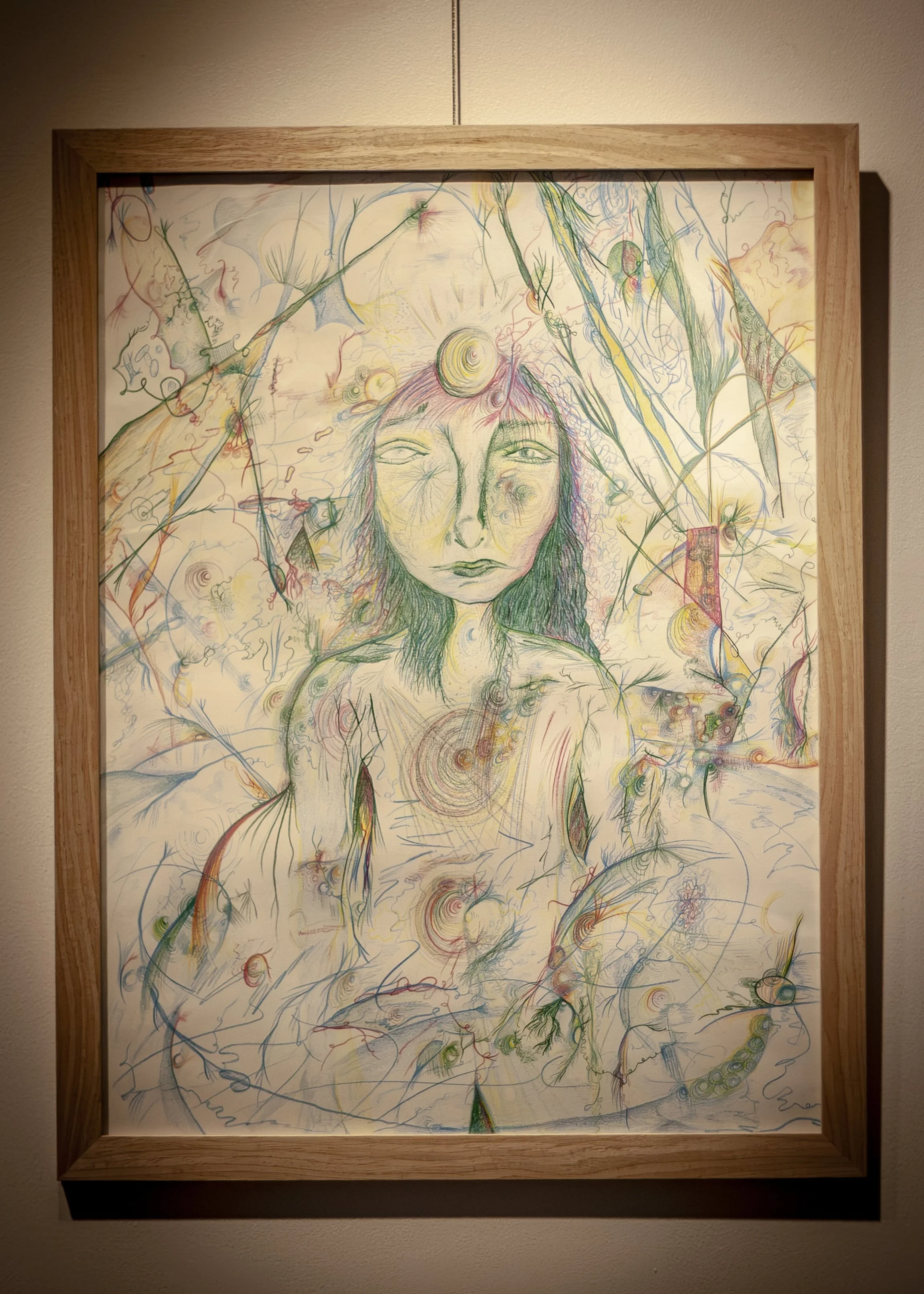 existence-drawing-shown-framed-at-nicole-javorsky-solo-show.jpeg
