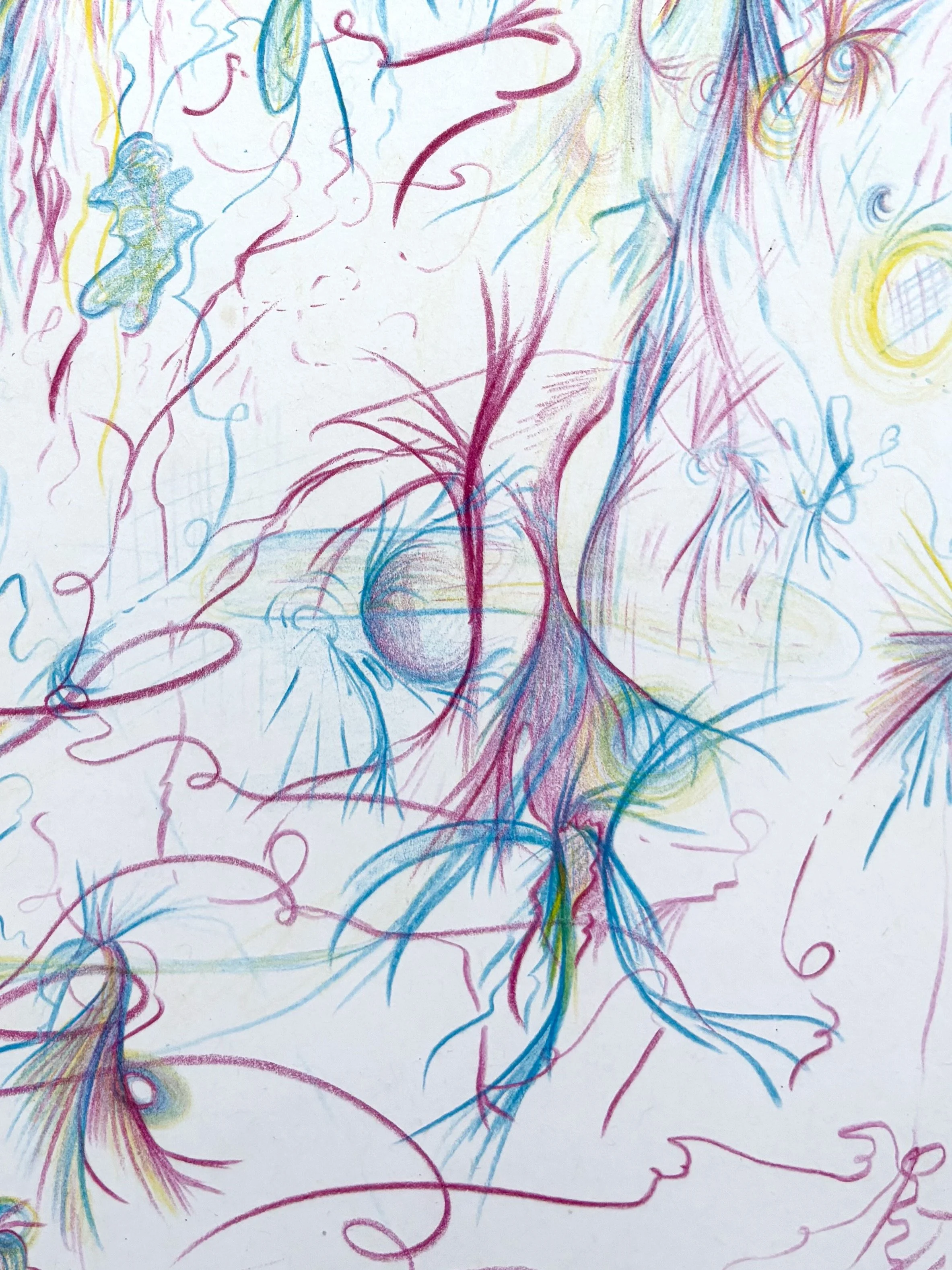 drawing inspired by nature and mysticism by artist Nicole Javorsky