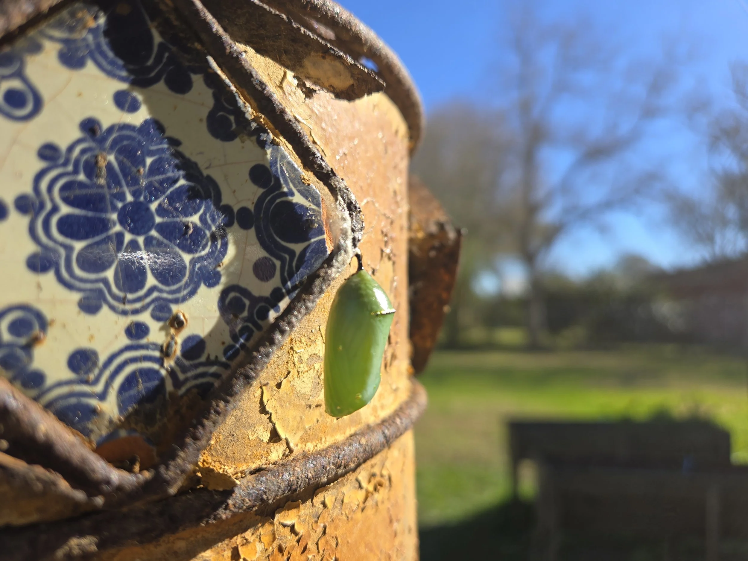 Refuge in the hidden places