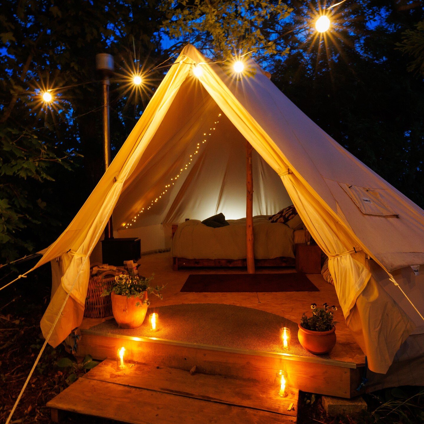 We'll be taking our bell tents down for the season at the end of the month, but we still have some availability throughout September.. and we've just reduced our prices :) Why not come stay with us on our permaculture homestead for a while and explor