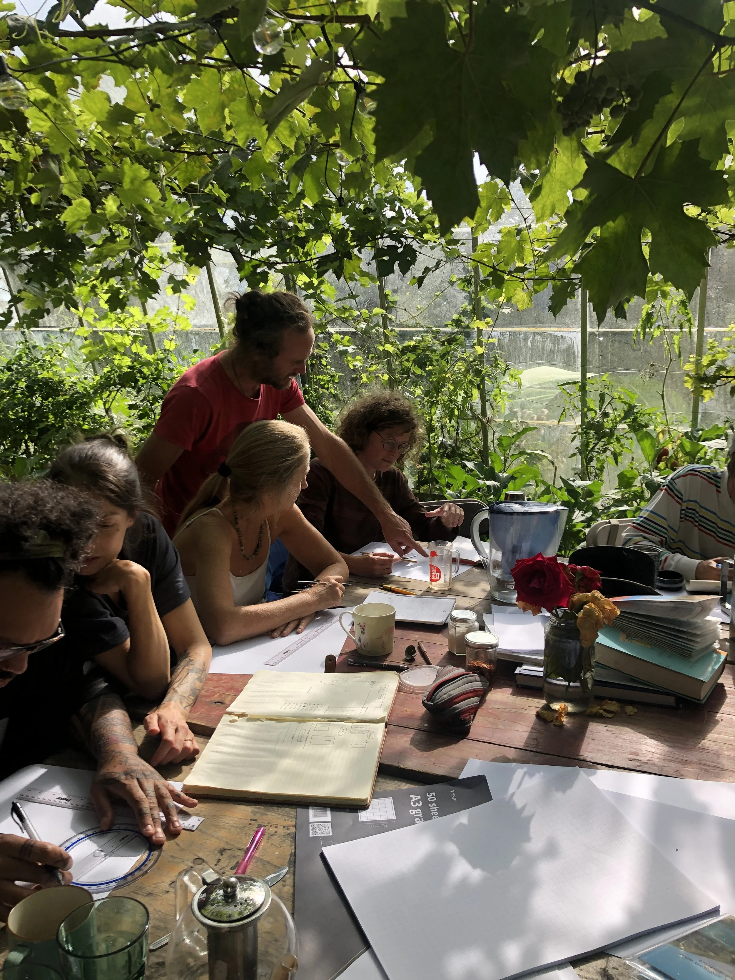 teaching permaculture