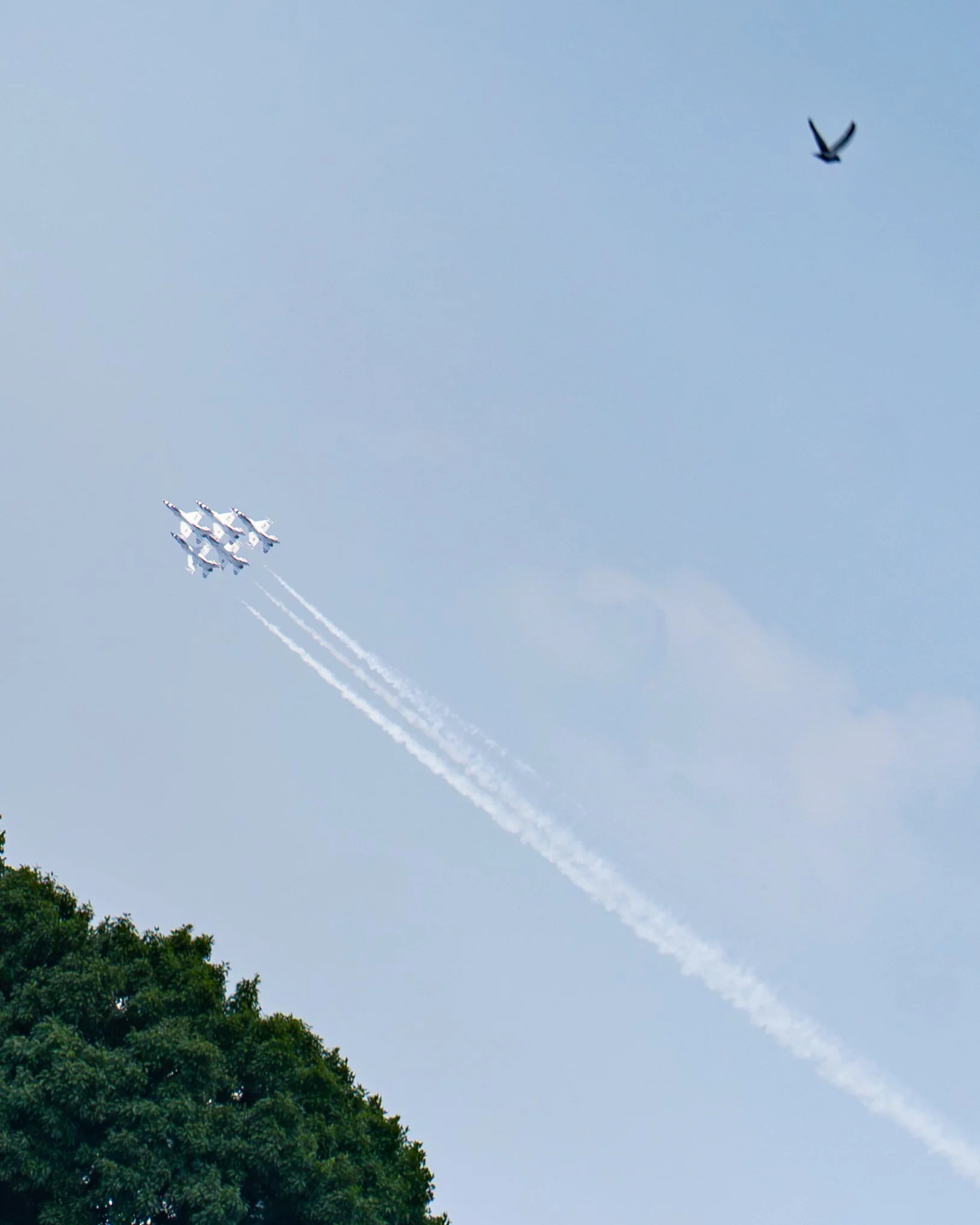 Thunderbirds flyover-2.jpg