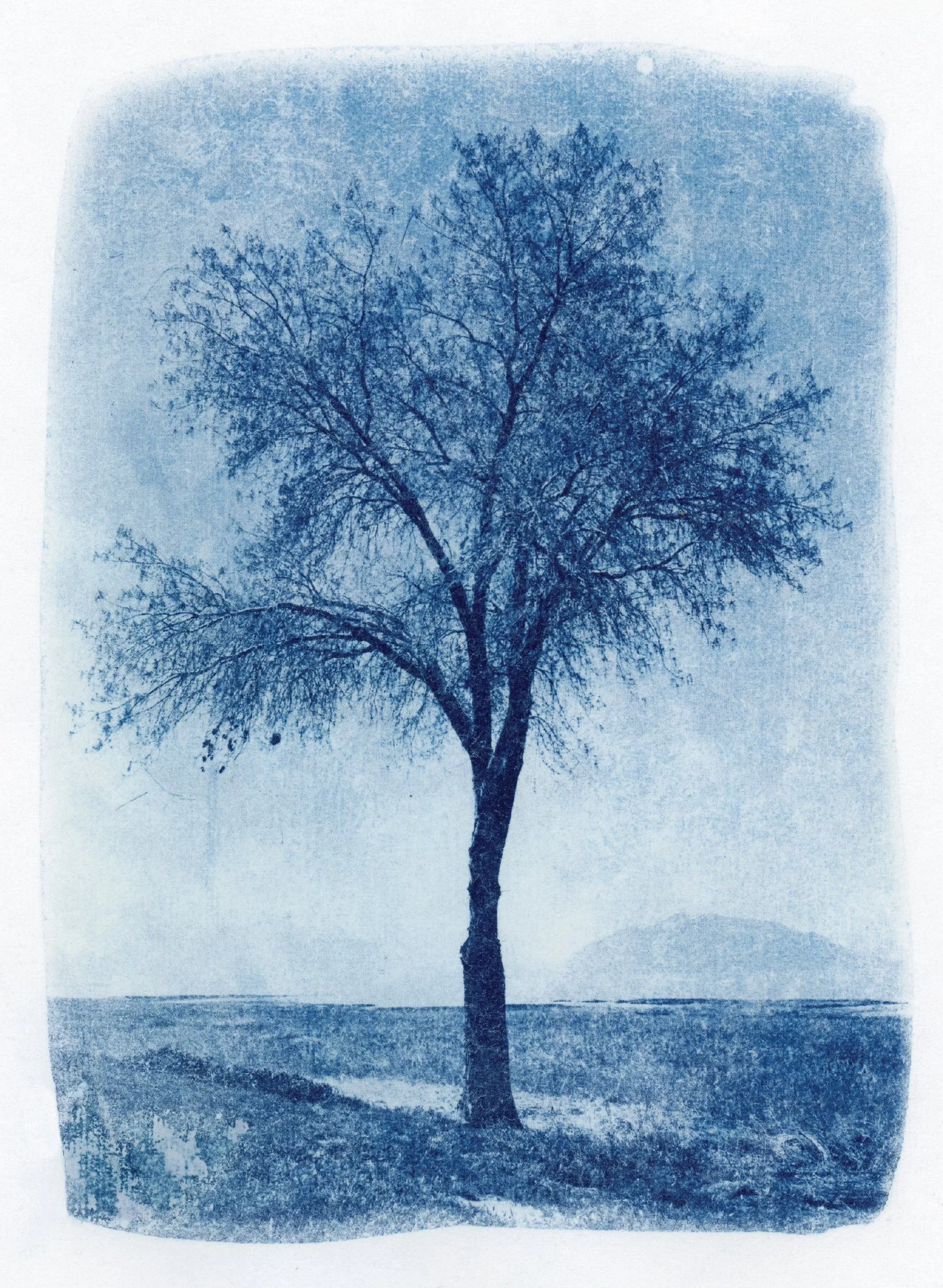 October Postcard.jpg