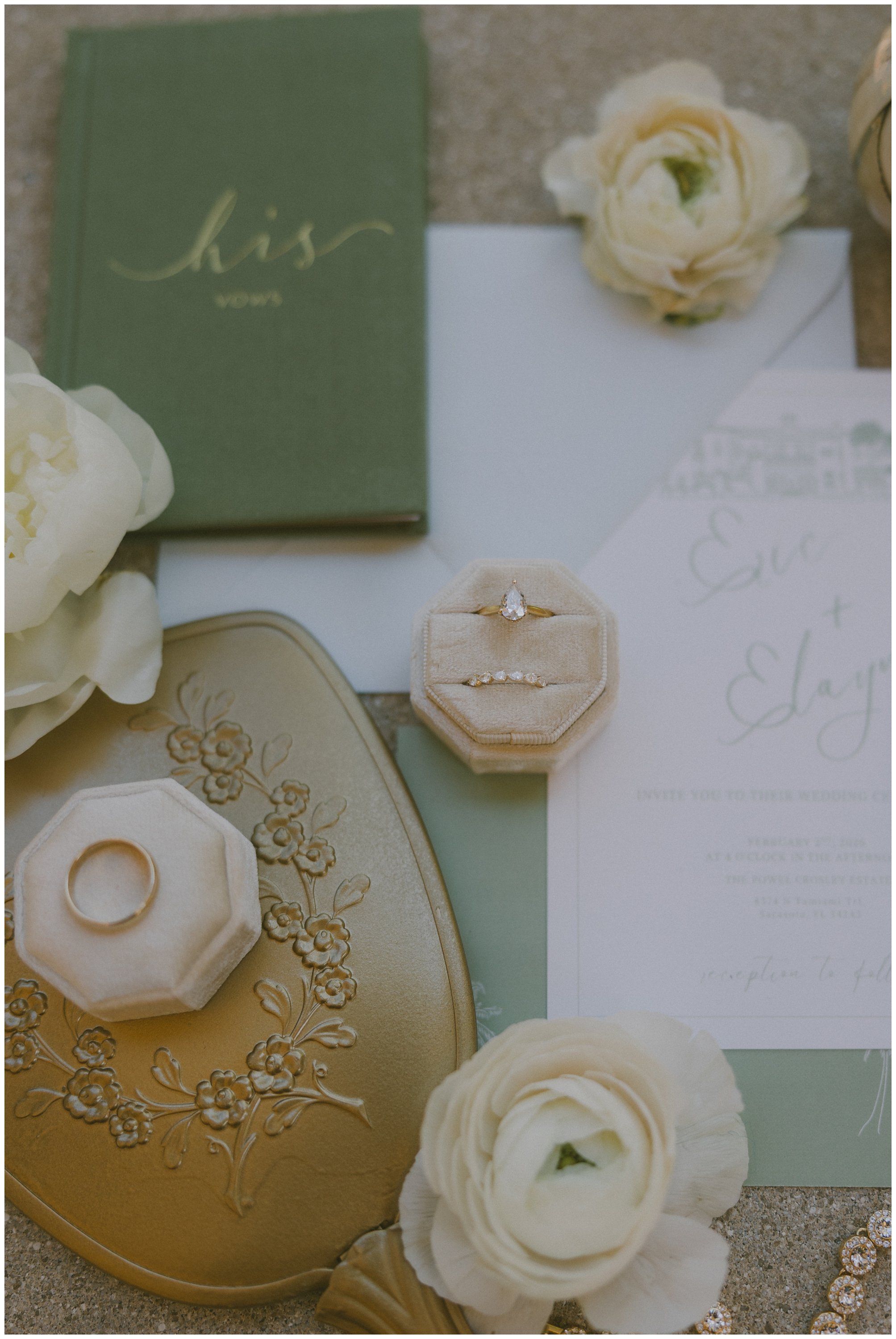 sarasota florida wedding elopement_1361.jpg