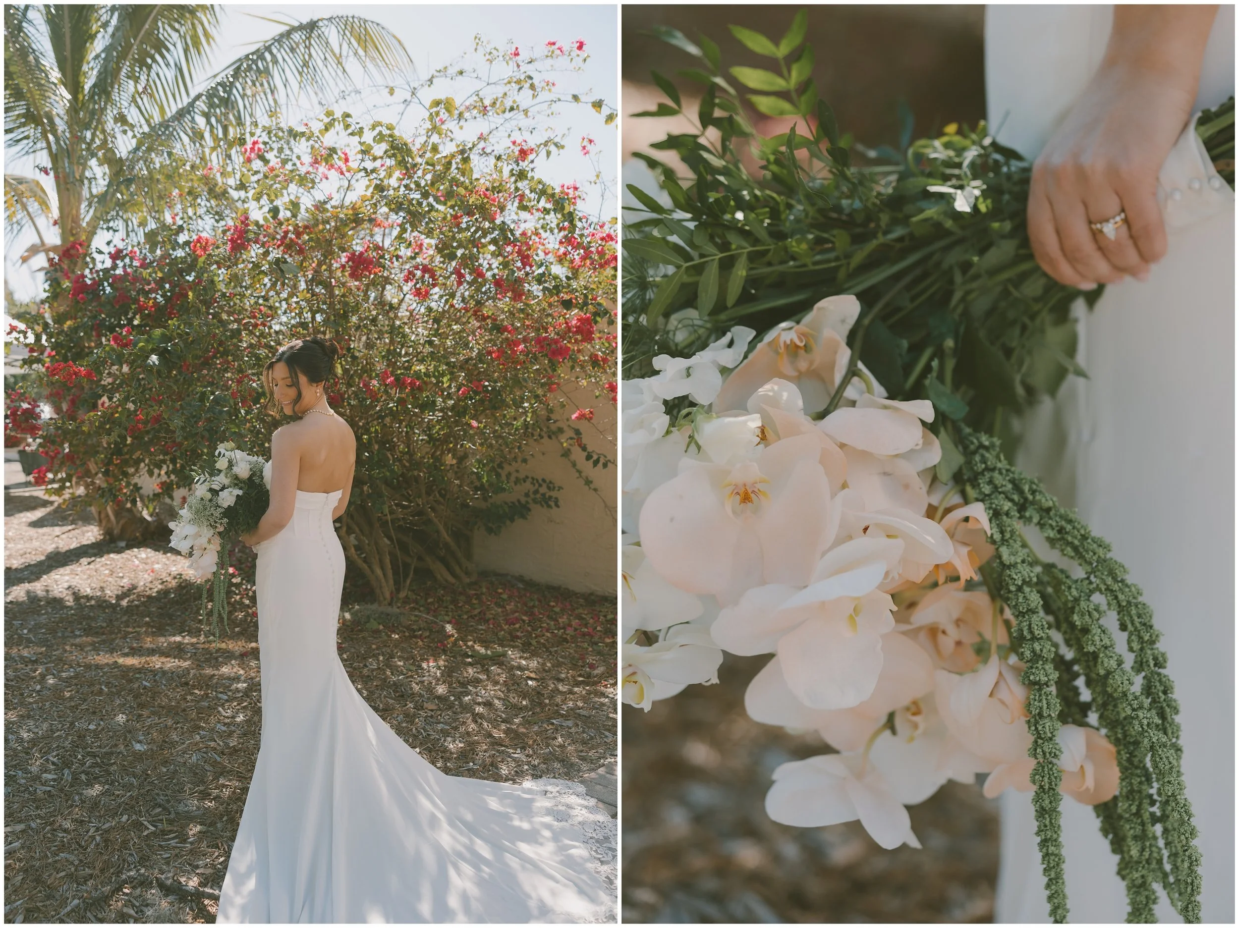 sarasota florida wedding elopement_1393.jpg