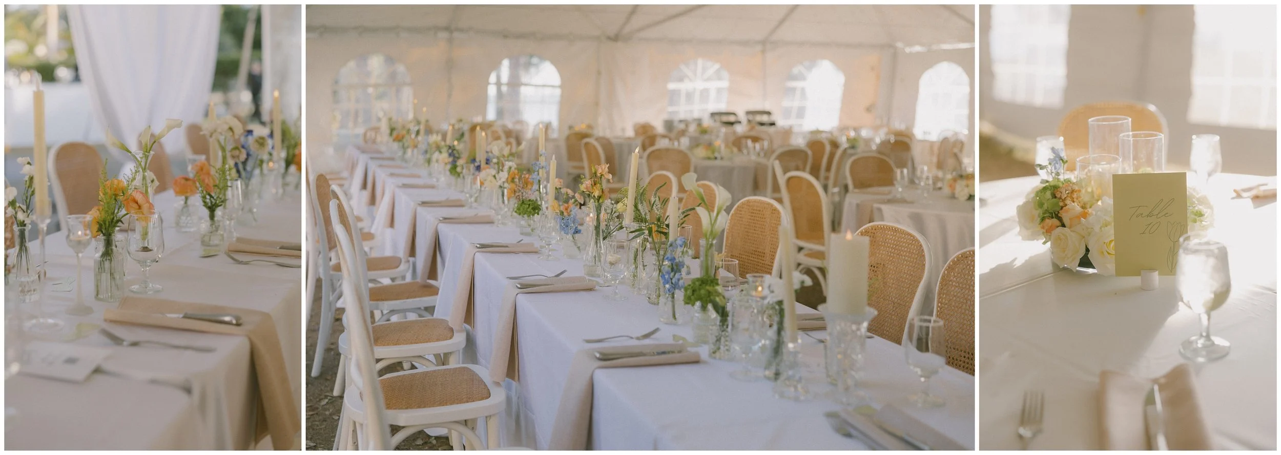 sarasota florida wedding elopement_1442.jpg