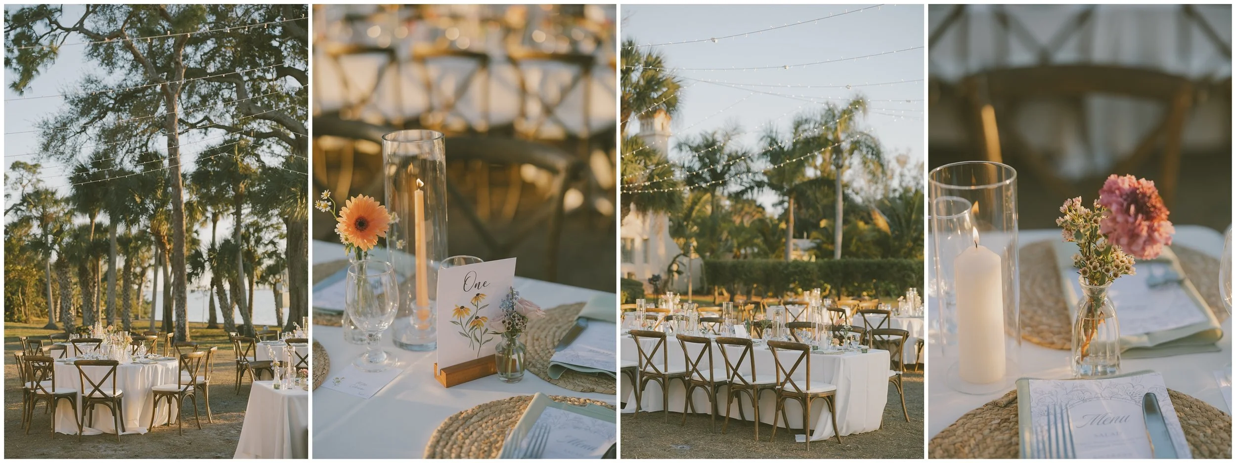 sarasota florida wedding elopement_1505.jpg