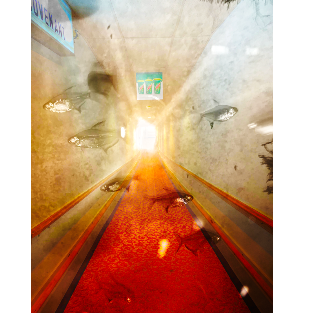 "3 Suns" photo detail 2026