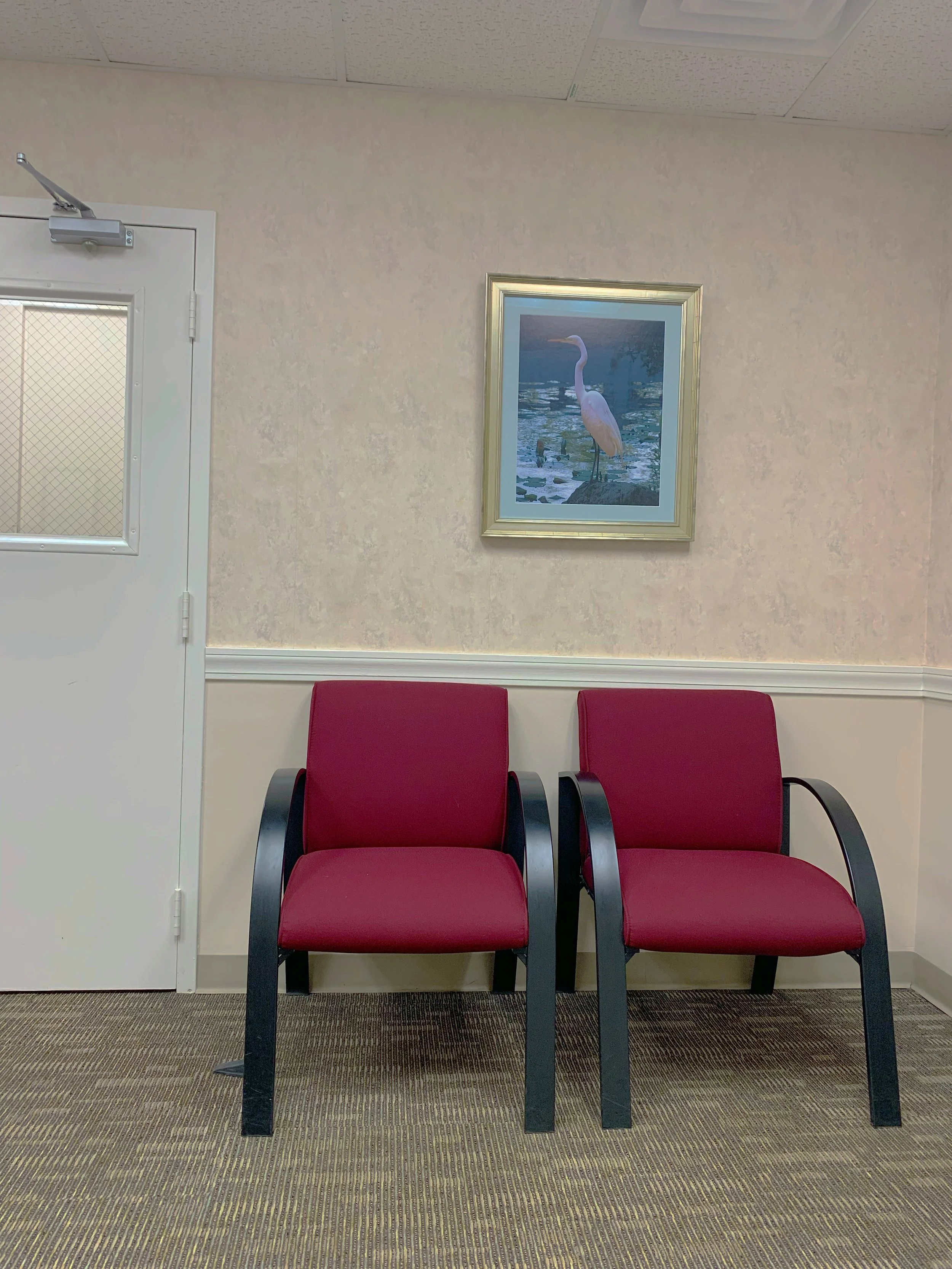 AfterlightImage 2 copy.JPG