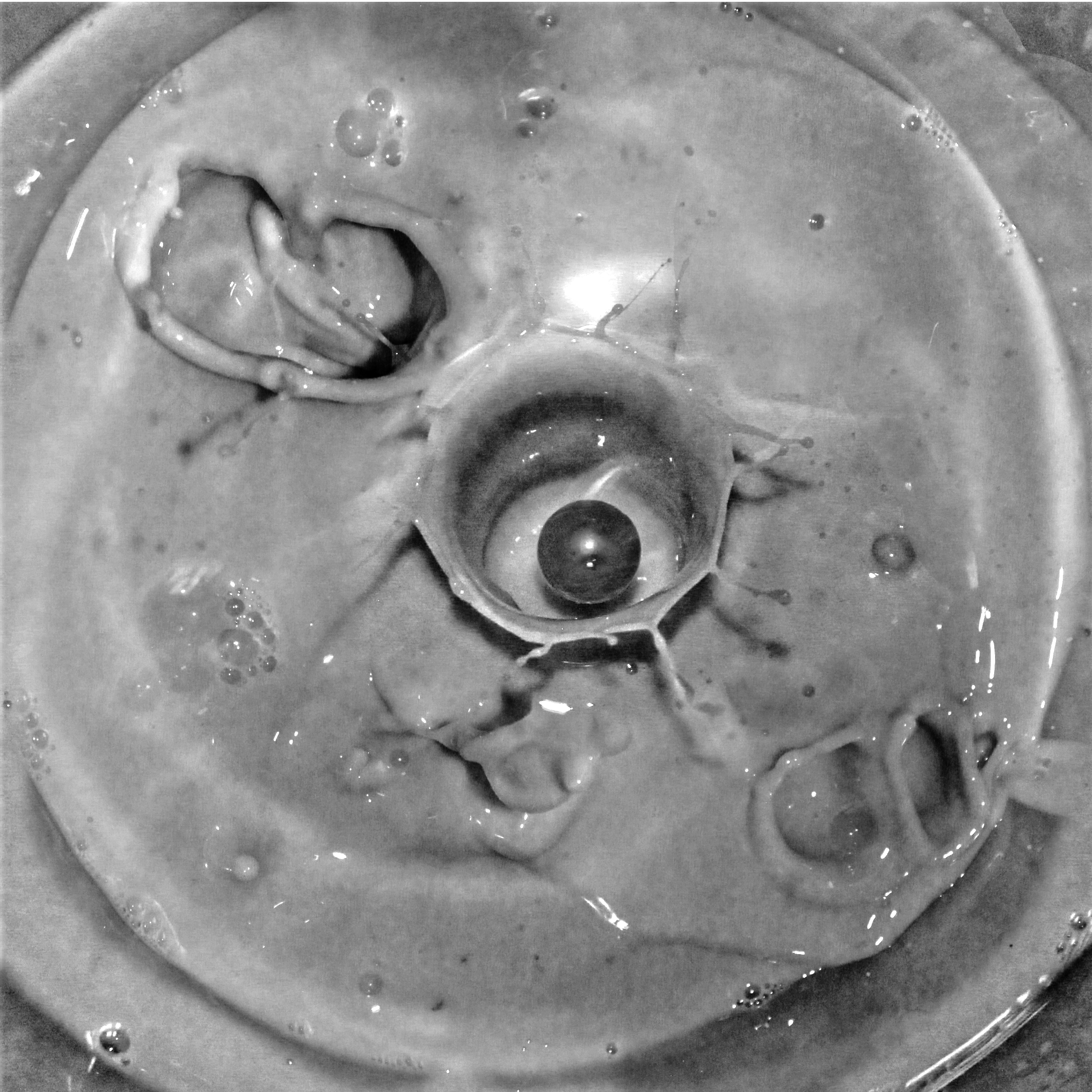 "Sophia" detail 2025