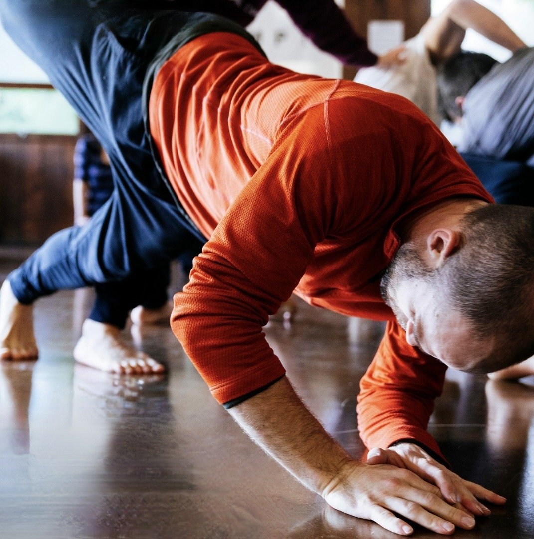 Workshop: Dancing Anatomies - Contact Improvisation &amp; Axis Syllabus @ Copenhagen, DK