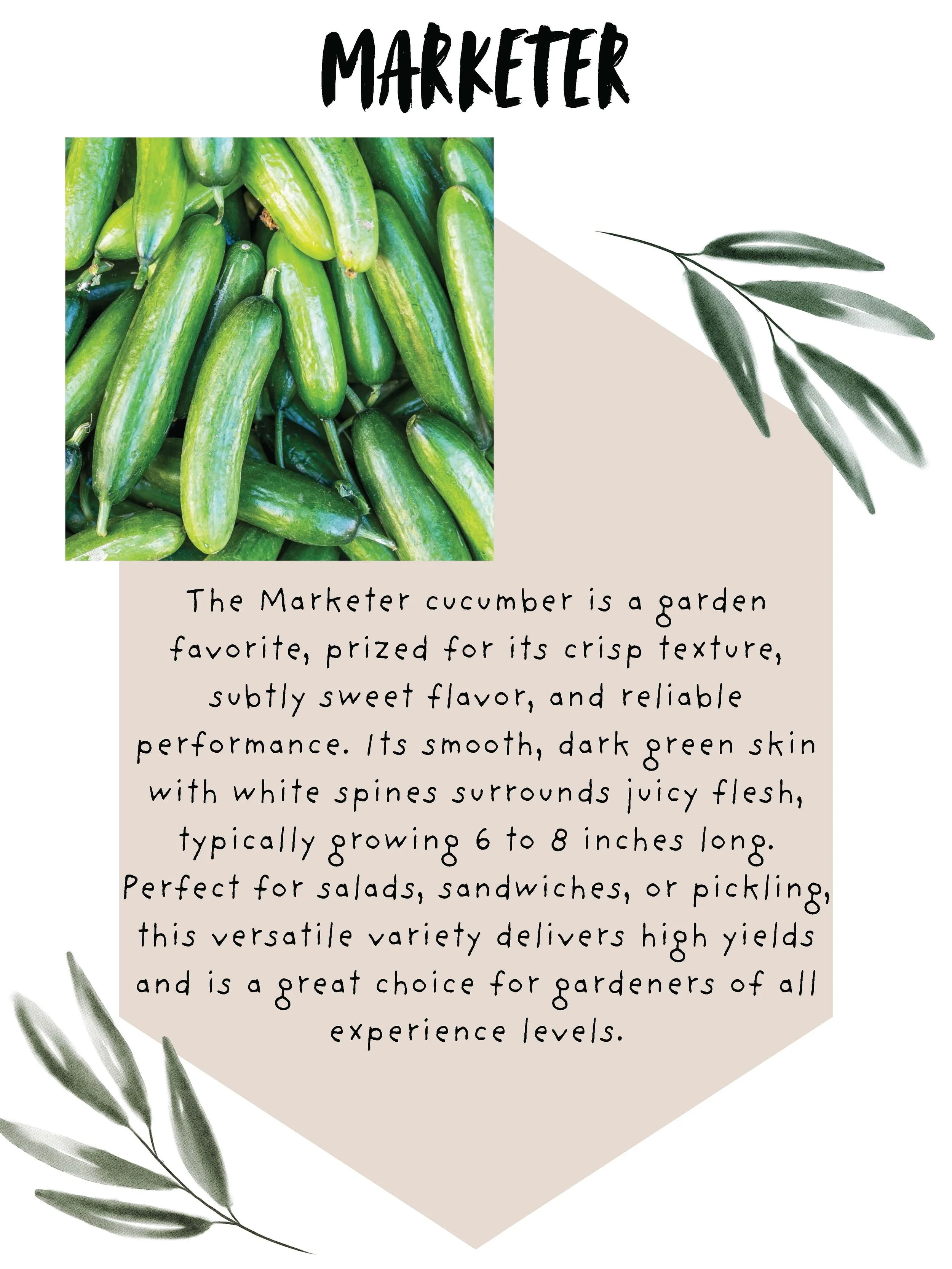 Simple Greenery Wedding Welcome Poster_Page_23.jpg