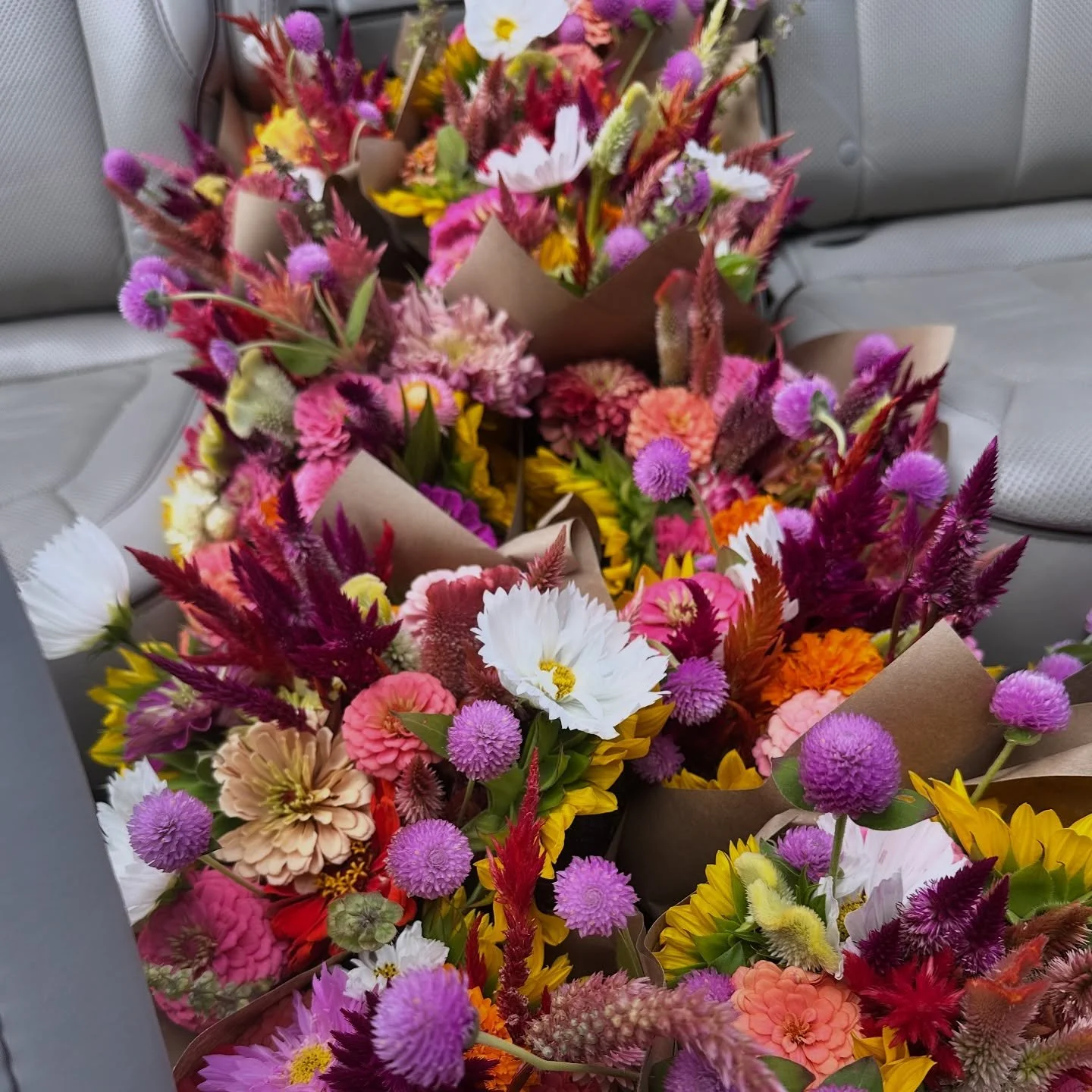 Our 4 Flower Programs! 
βοΈ 3 offer delivery!!
1. π±SPRING Flower Club βοΈ
2. βοΈ SUMMER Flower Club βοΈ
3. π FALL Flower Club βοΈ
4. ποΈ FRIDAY Flower Club