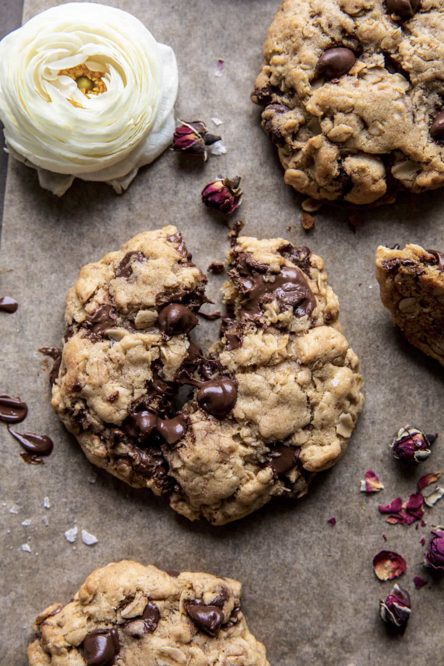 Screenshot 2026-03-30 at 11.13.46 AM.png