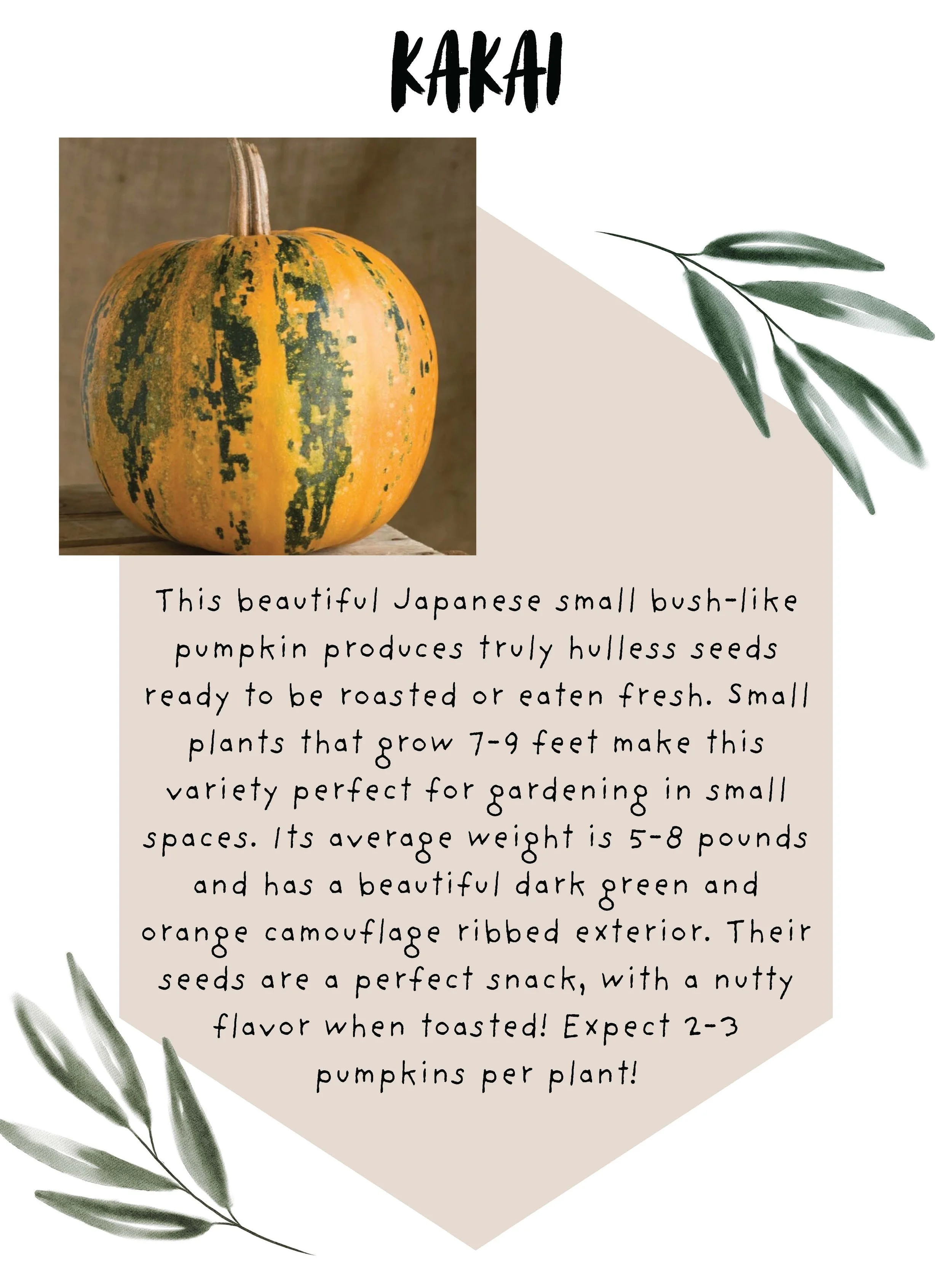 Simple Greenery Wedding Welcome Poster_Page_08.jpg