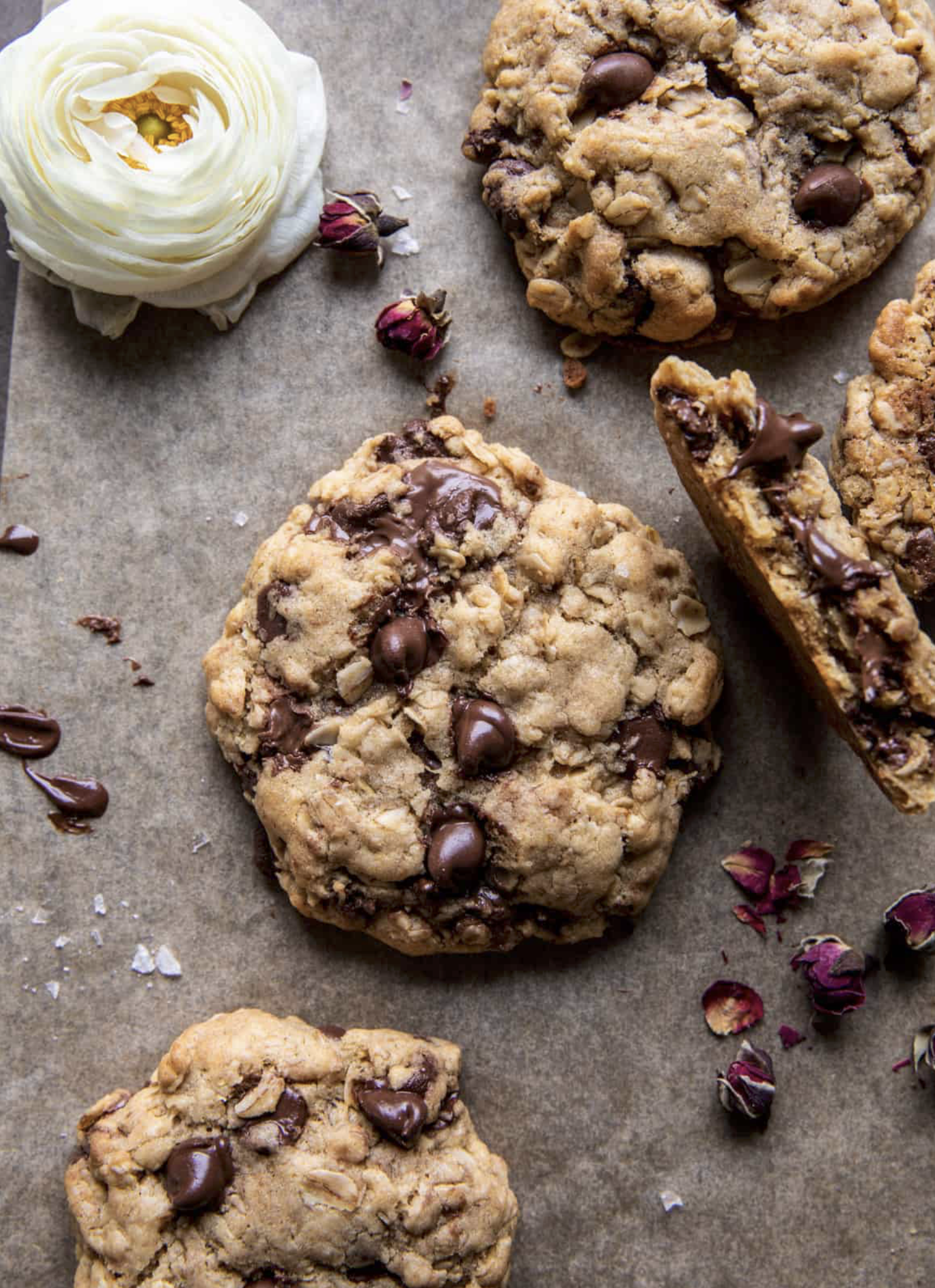 Screenshot 2026-03-30 at 11.14.25 AM.png