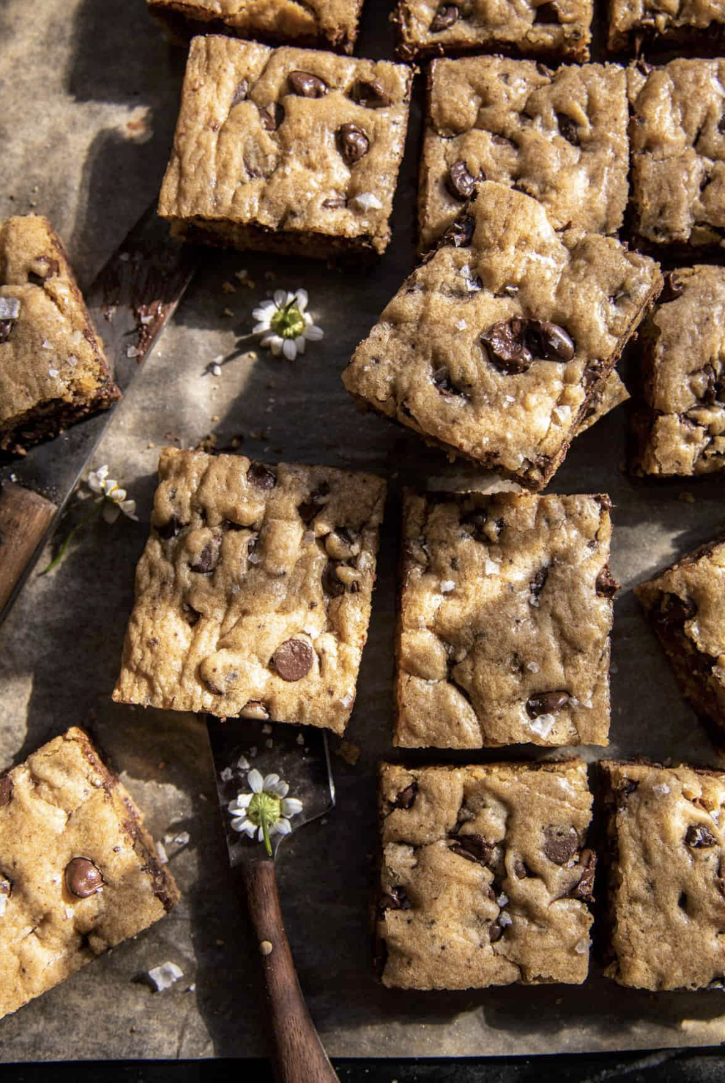 Screenshot 2026-03-30 at 11.20.17 AM.png