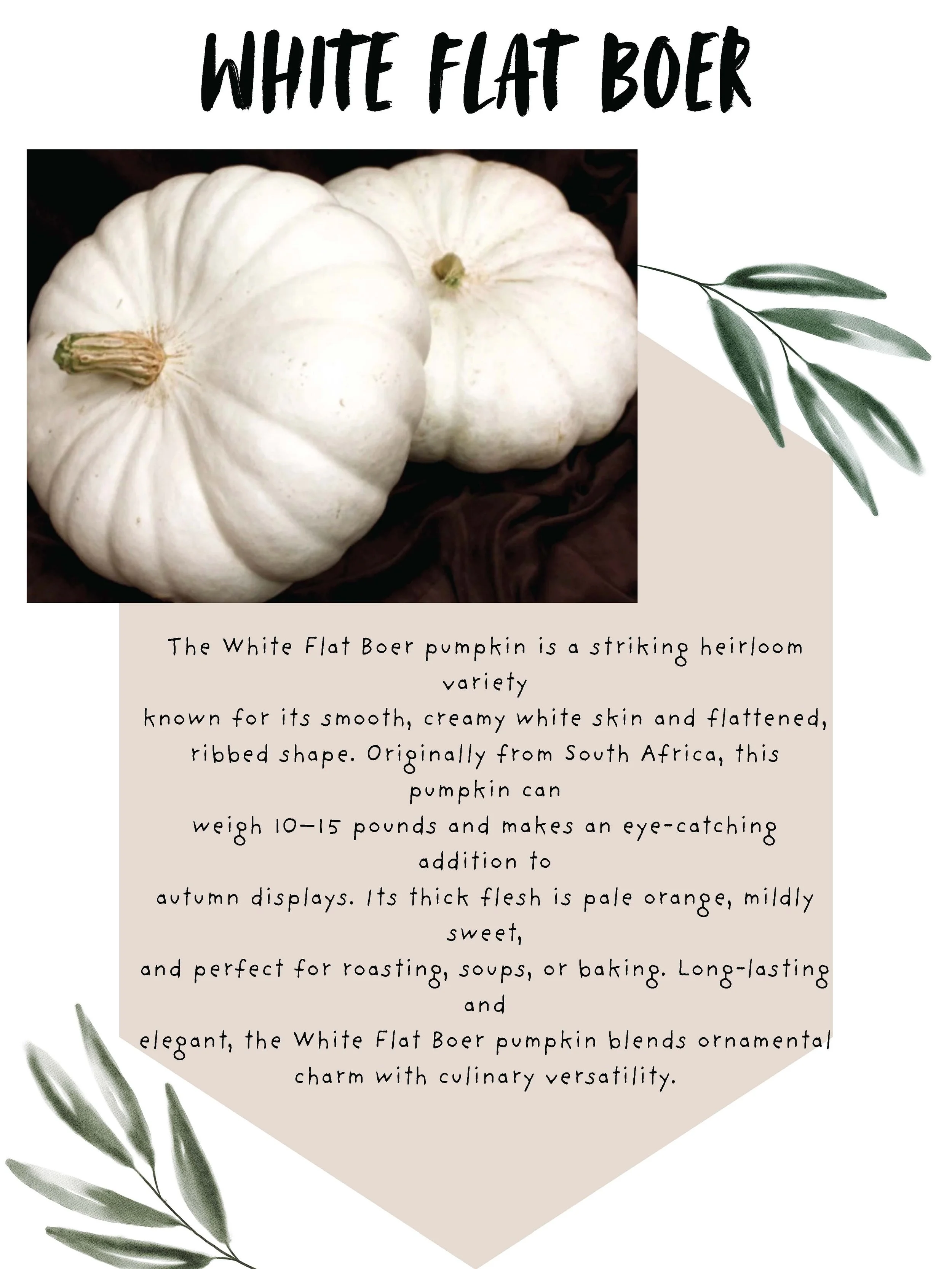 Simple Greenery Wedding Welcome Poster_Page_02.jpg