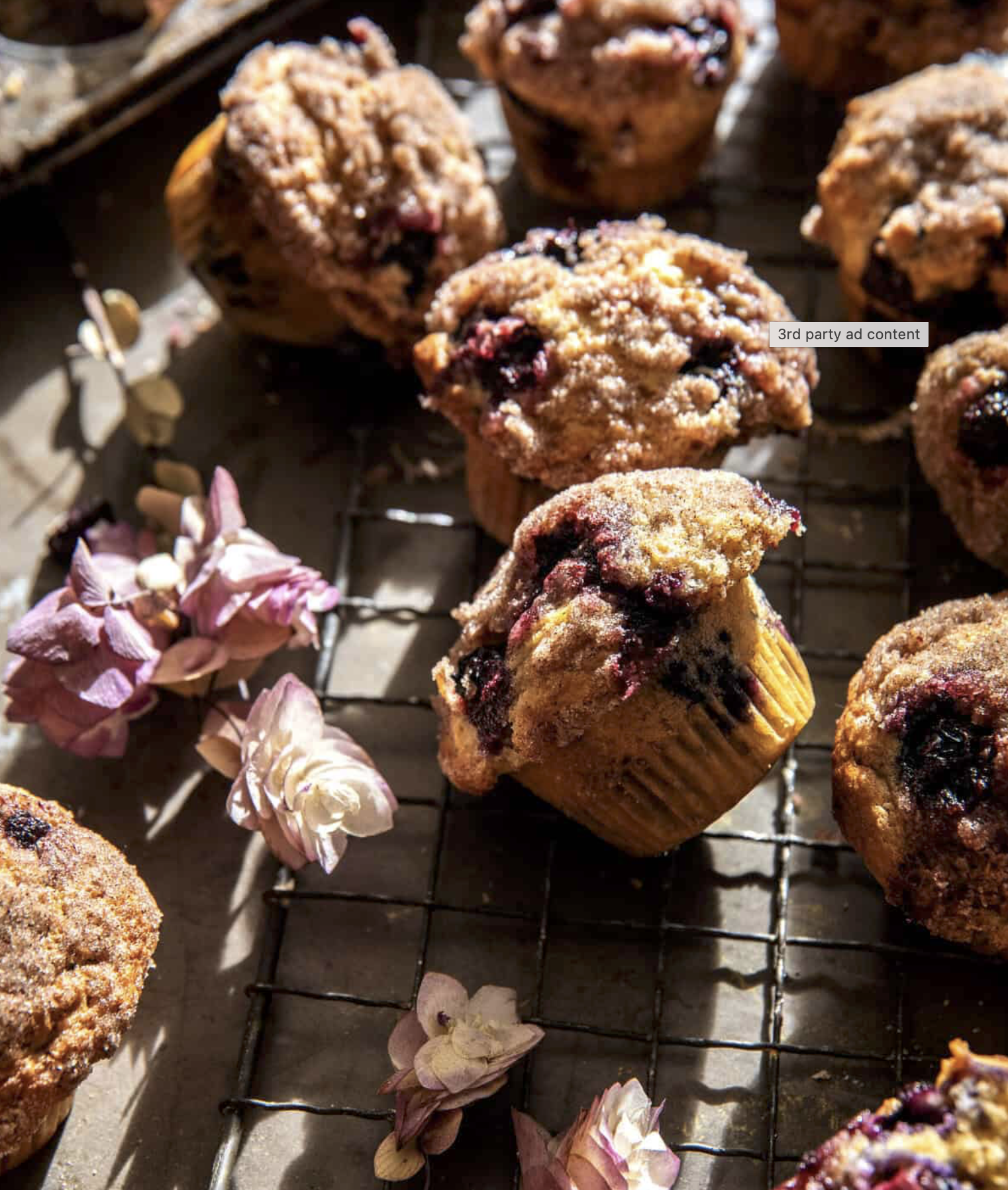 Blueberry Yogurt Coffee Cake Muffins
