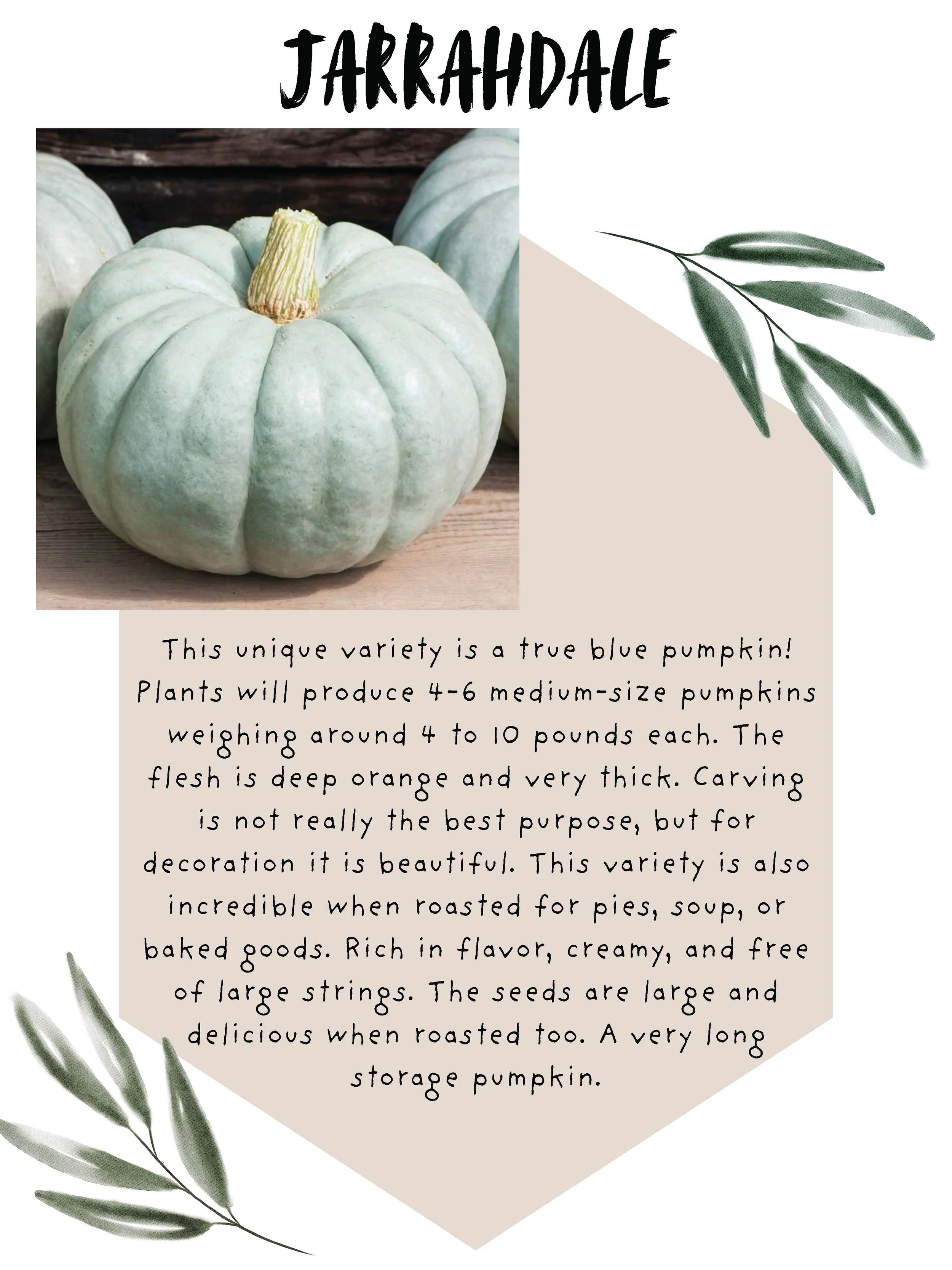Simple Greenery Wedding Welcome Poster_Page_10.jpg