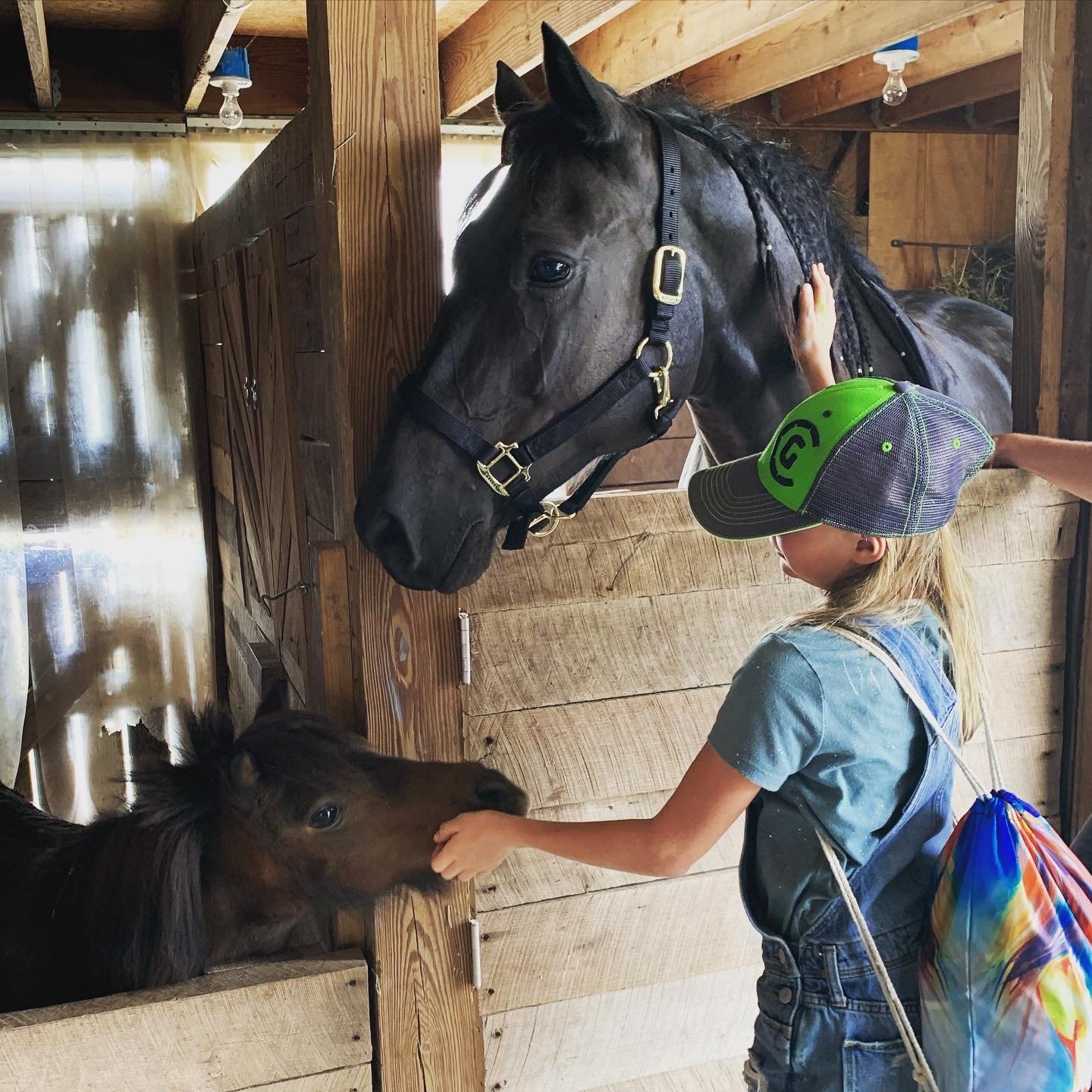 B5F8C00E-9021-4B68-A312-E25CEF75FAEF 2.JPG