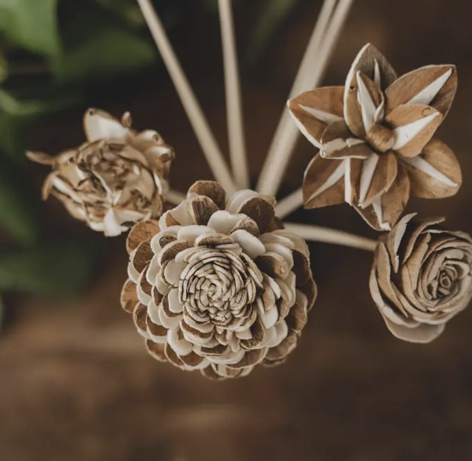 Screenshot 2026-04-27 at 9.38.49 AM.png