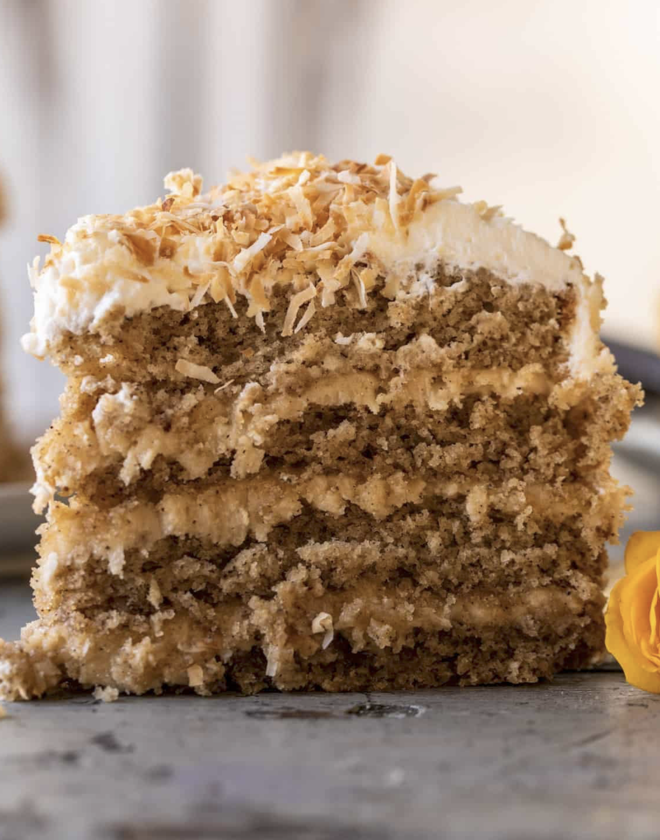 Screenshot 2026-03-30 at 10.53.12 AM.png