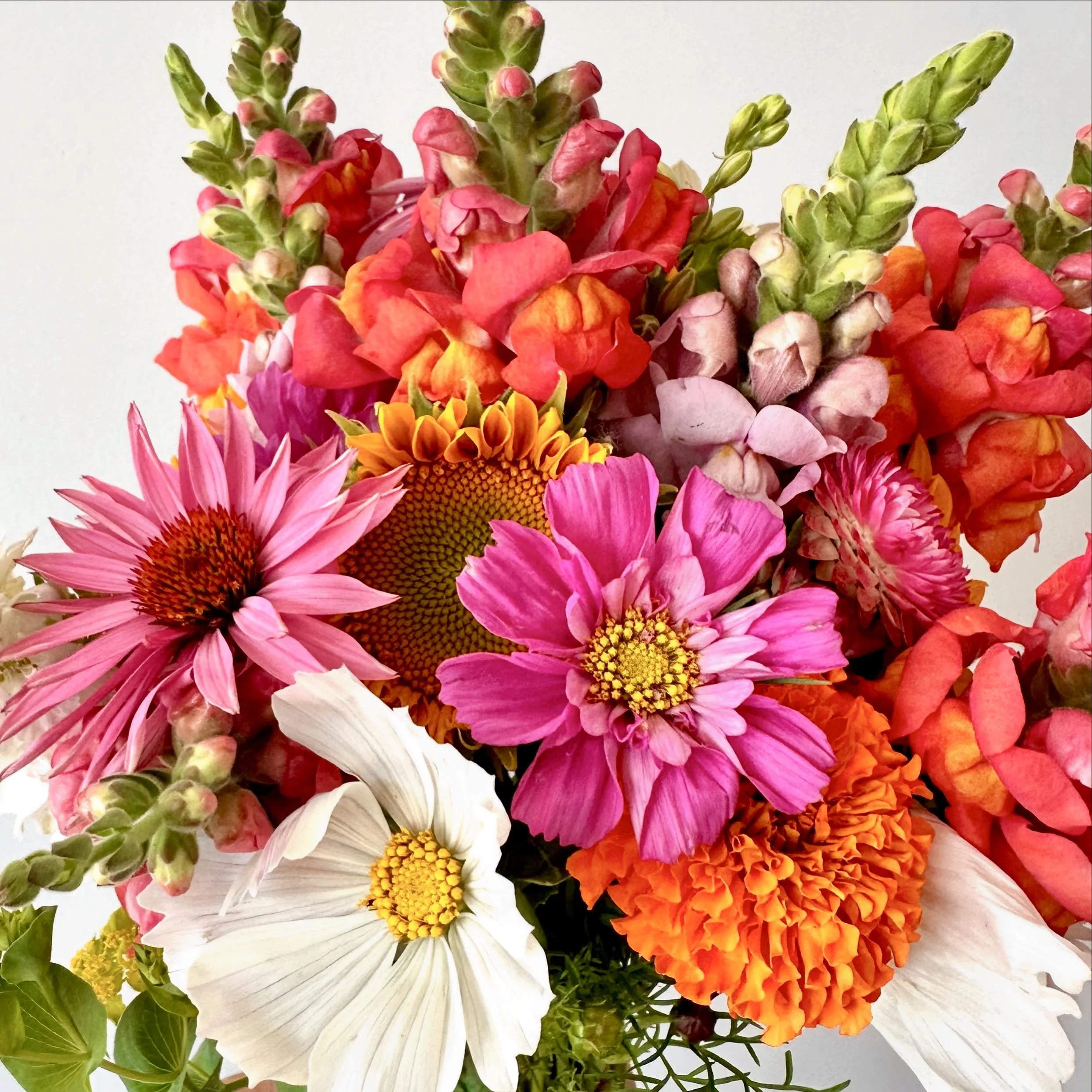 FFF56A94-4CC5-4700-8BD9-0F242912E0A8 2.jpg