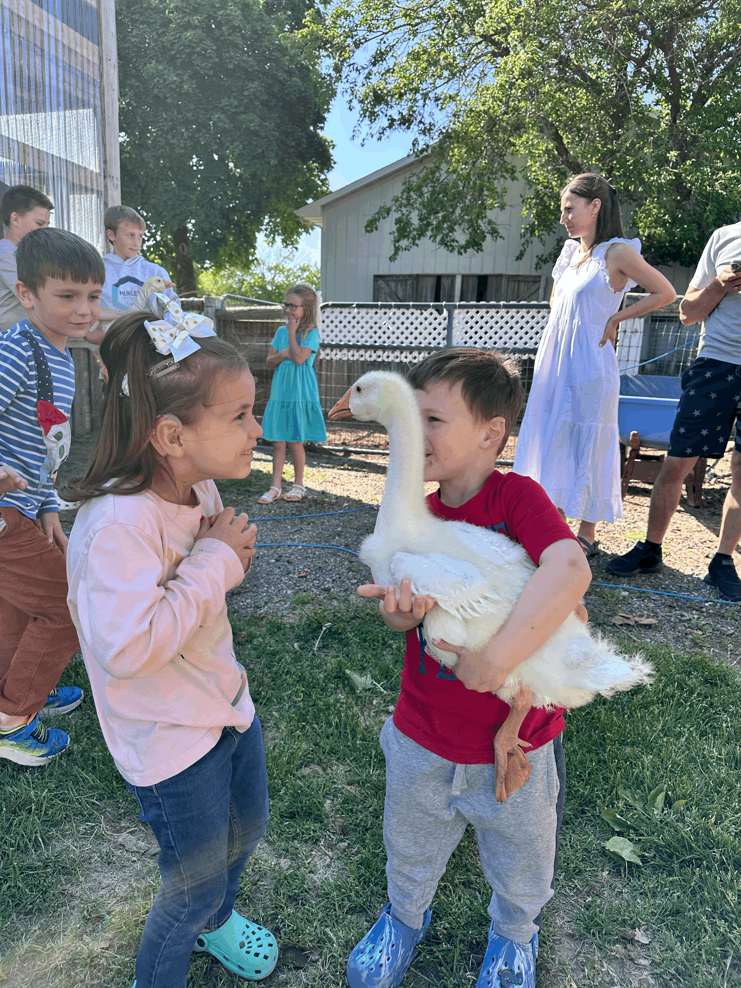 tempImageY1djMa.gif (Copy)