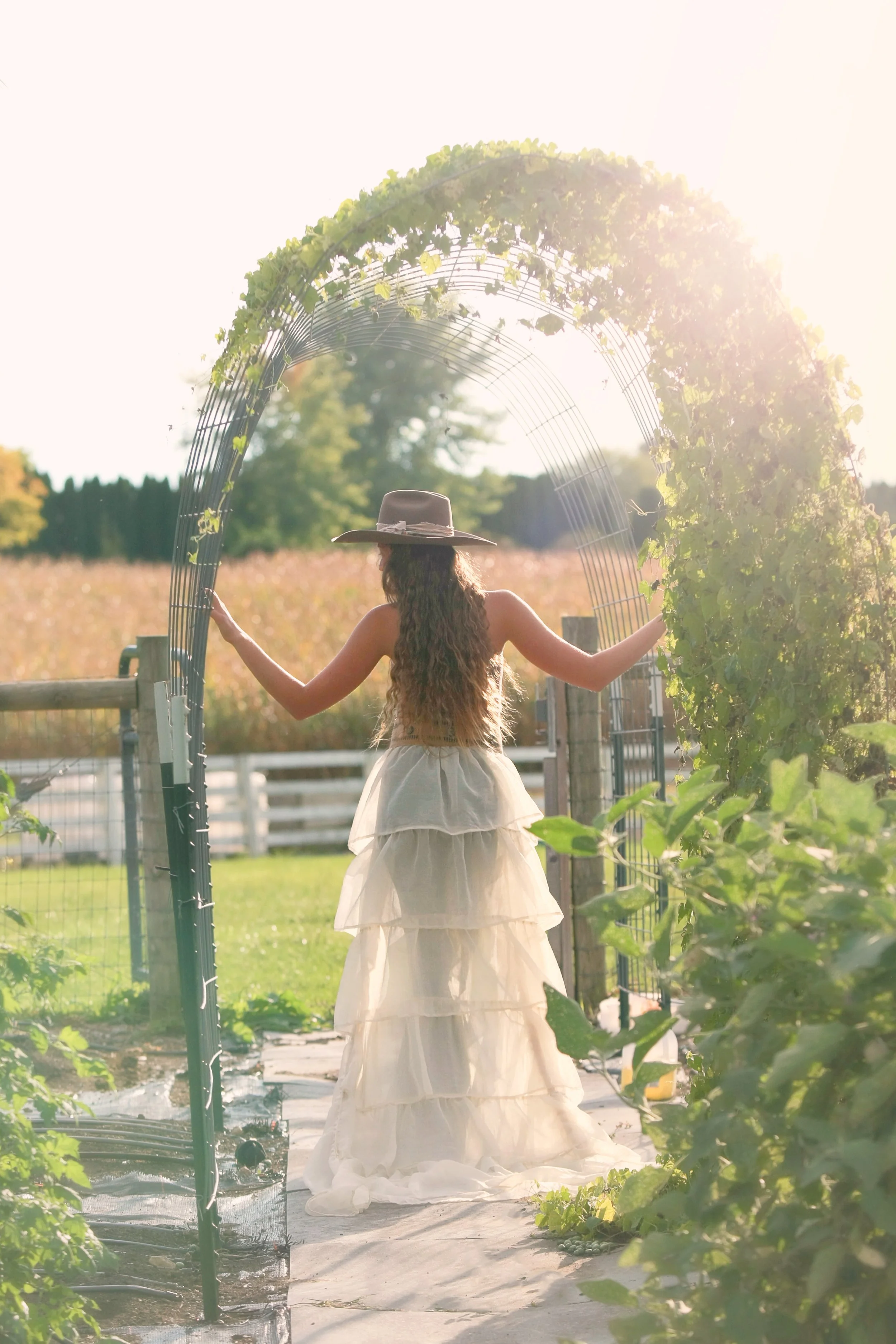 Photography Session Field Rental