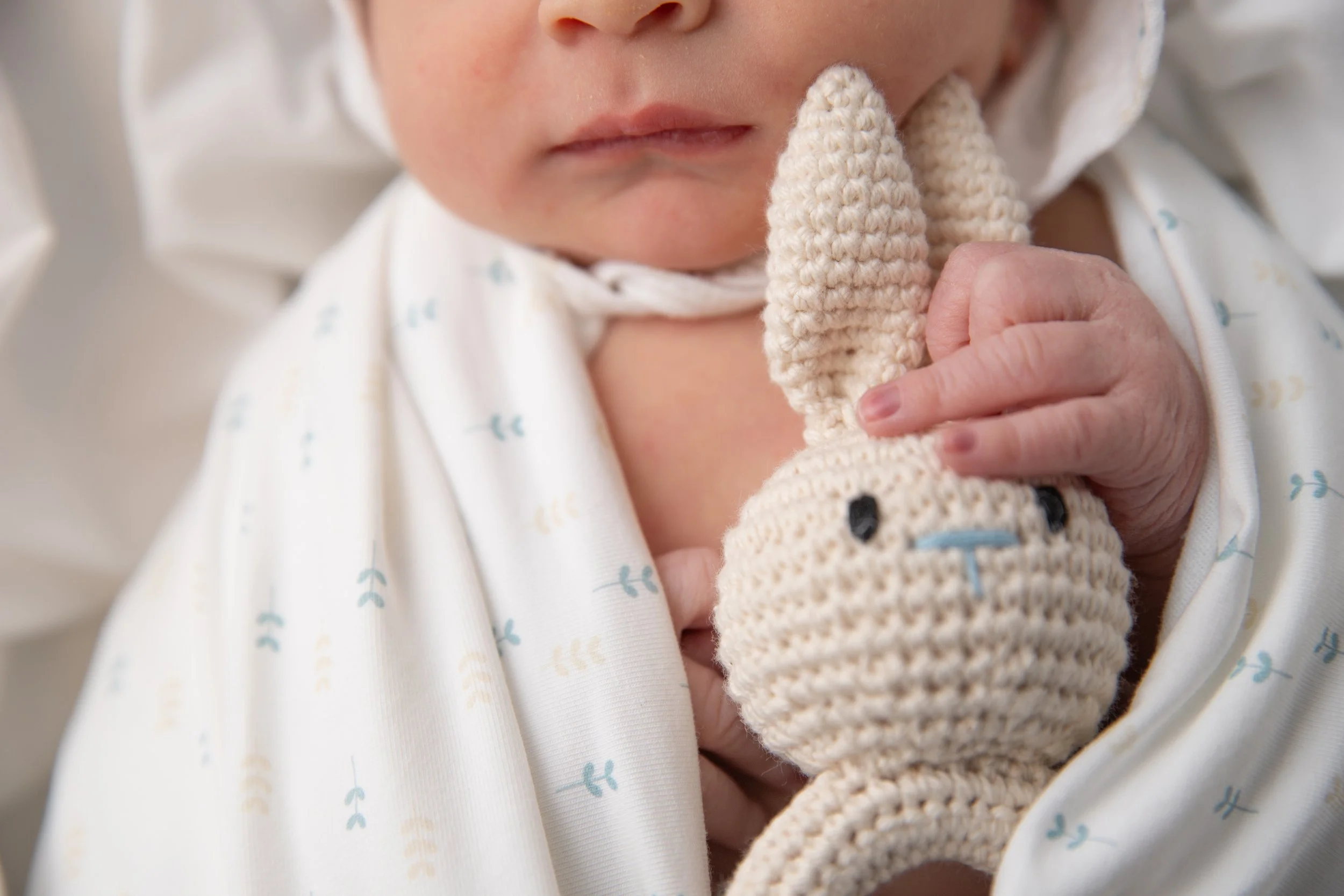 arah0302pgczxpk-20.jpg