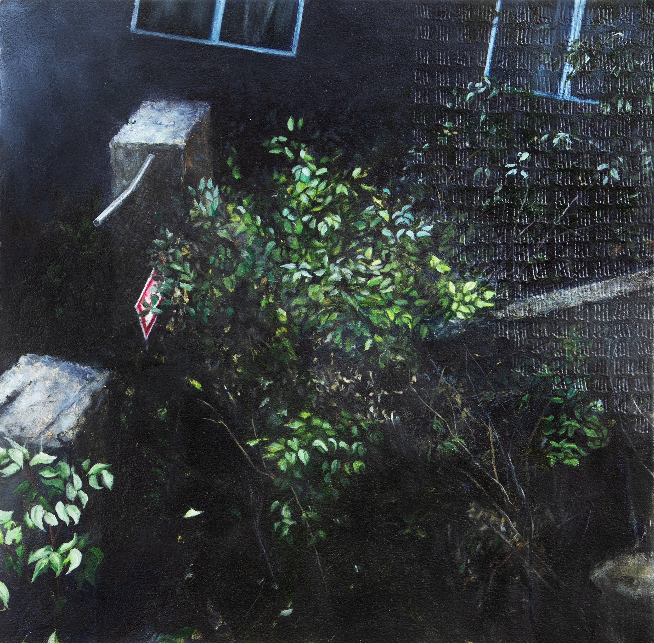 Looking down on the side of a building with windows and a dark alleyway at night.