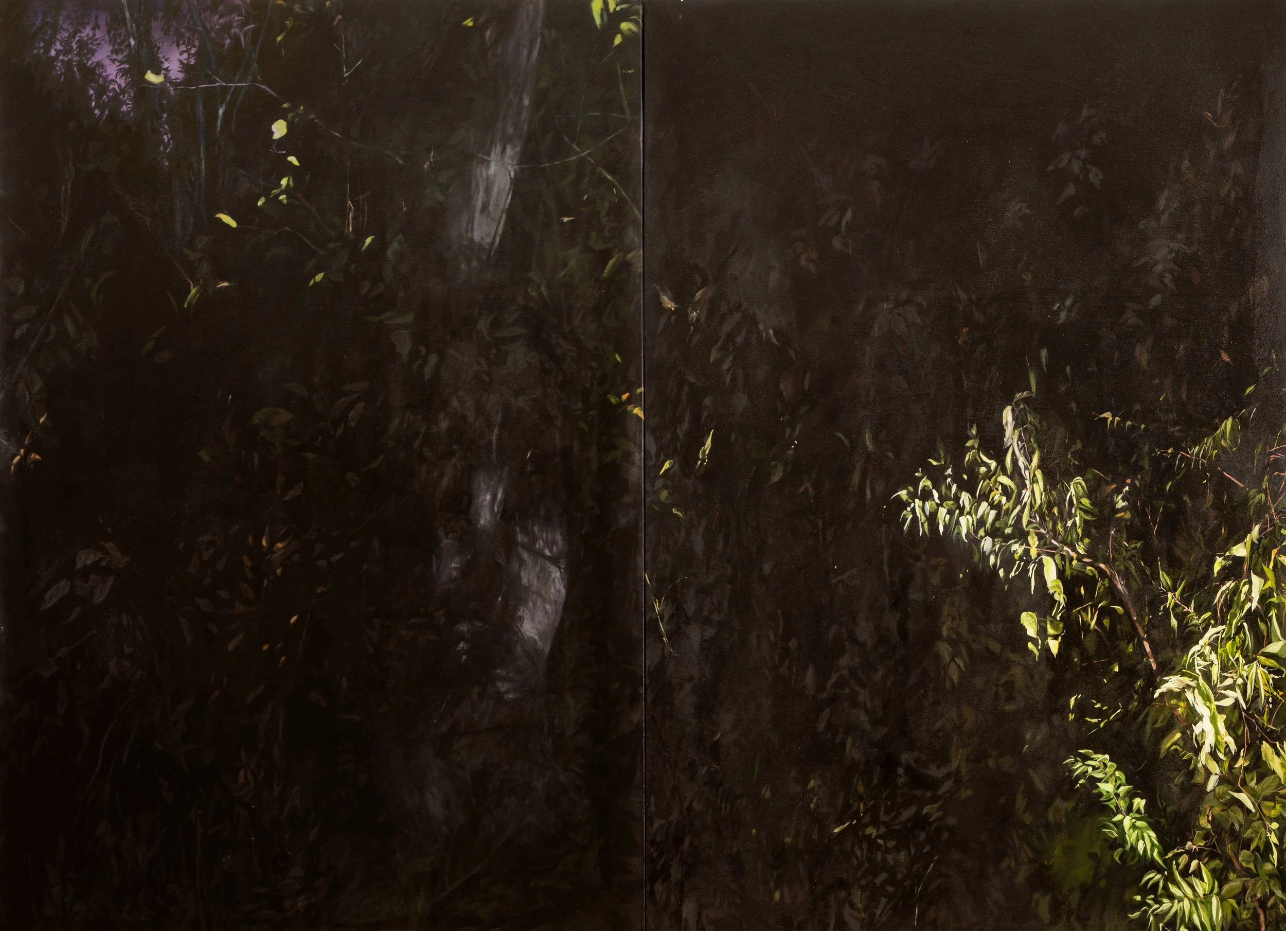 Trees and some lit up bushes across the landscape at night.