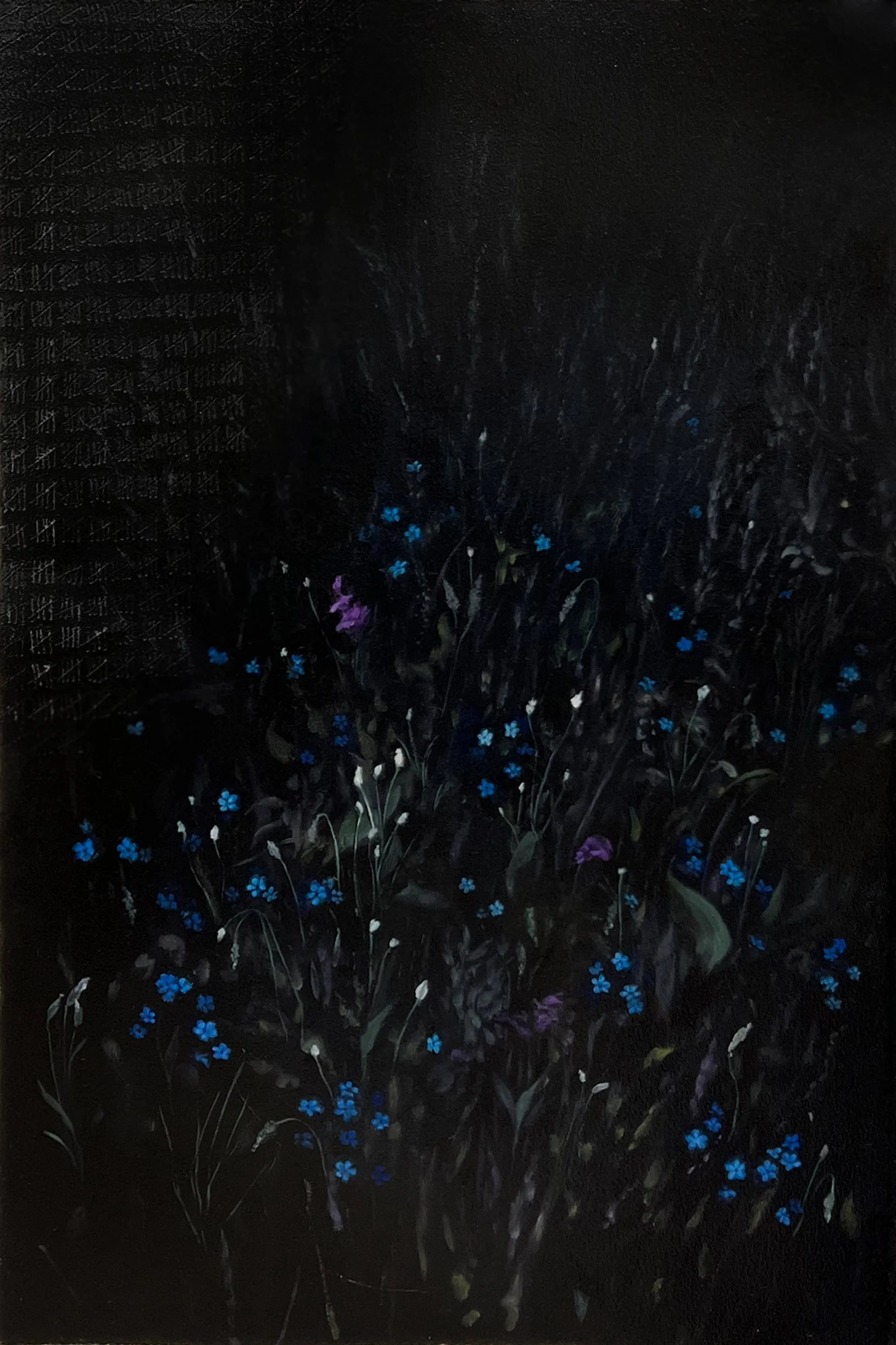 Looking down across a field, at night, on lit wildflowers