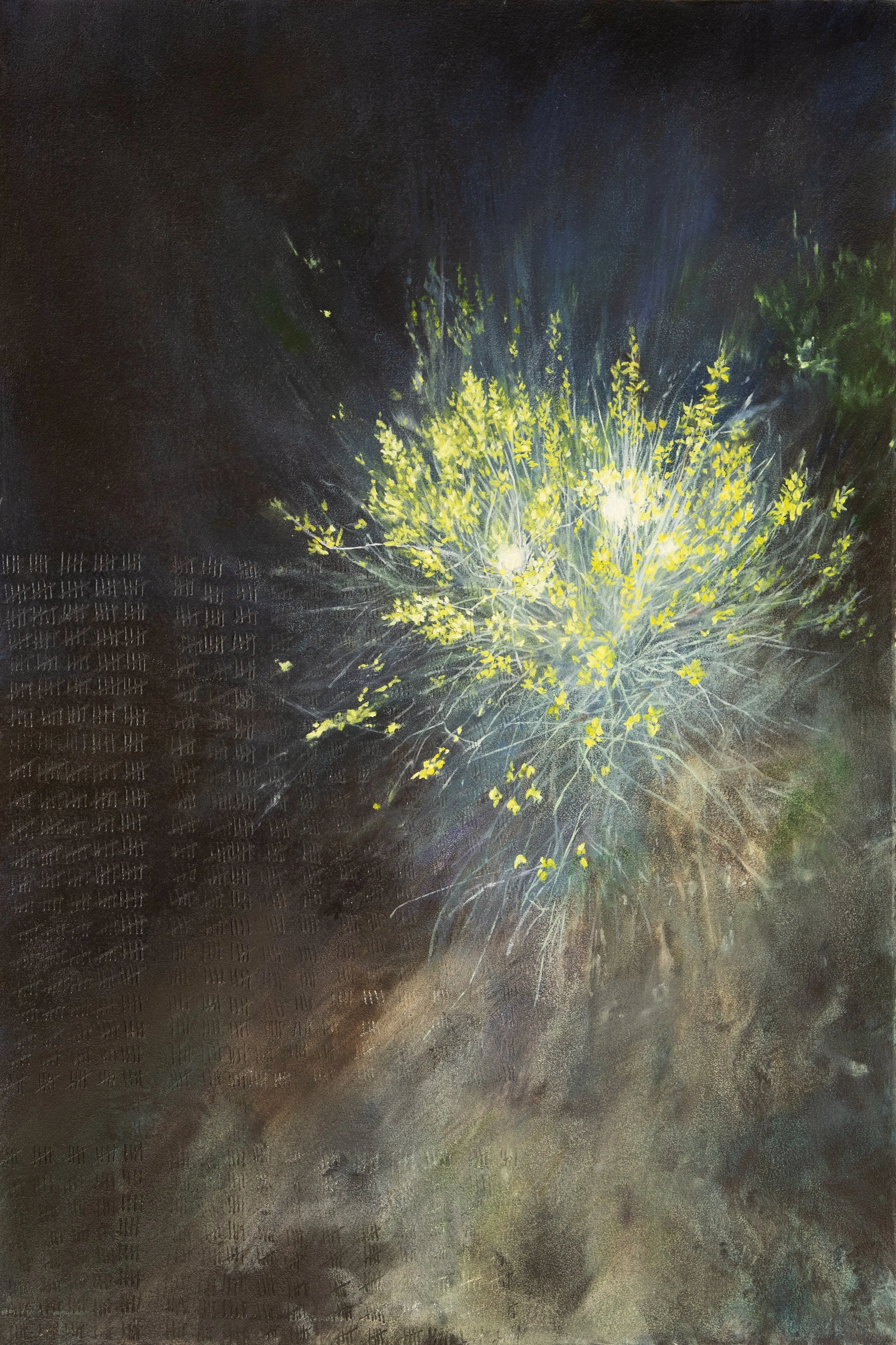 Yellow flowering bush glowing at night with hidden lights shining through.