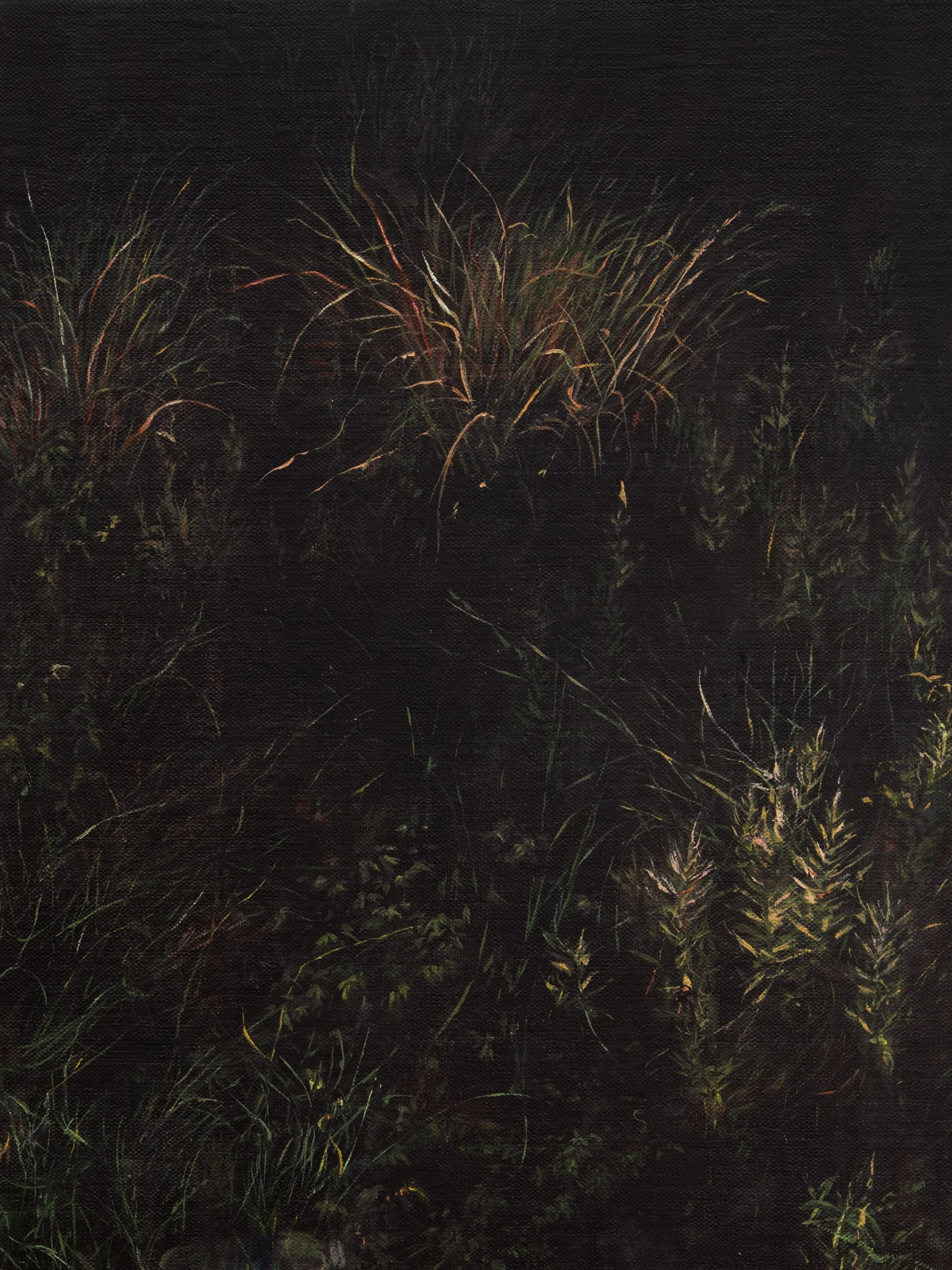 Painting of nocturnal grass and weeds, with water bottle trash