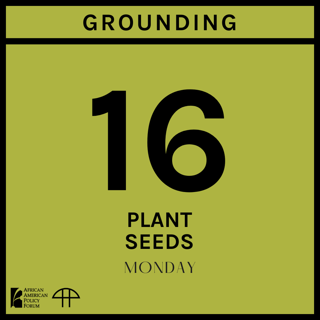 Day 16 - Plant Seeds