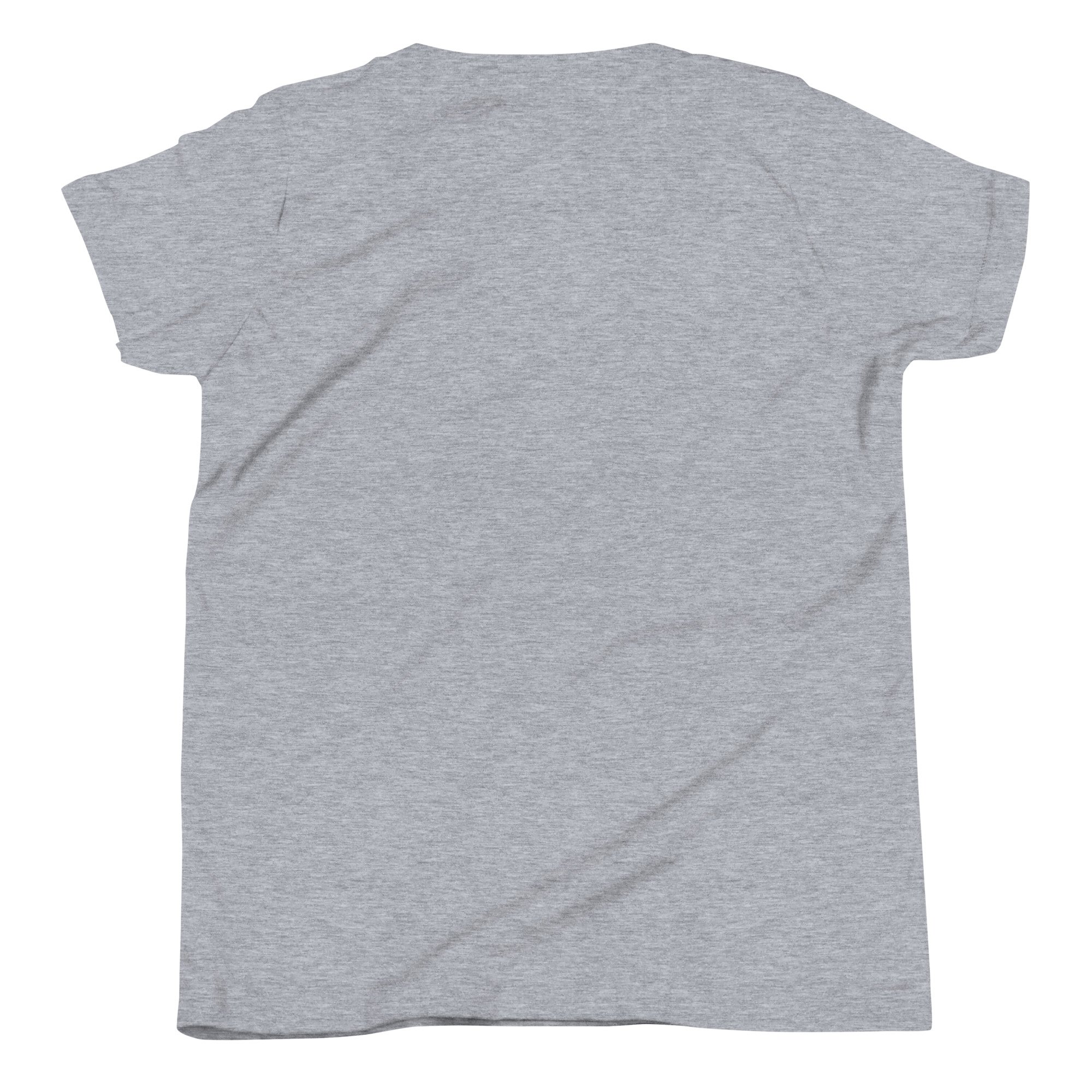 youth-staple-tee-athletic-heather-back-6a70fb5314480.jpg