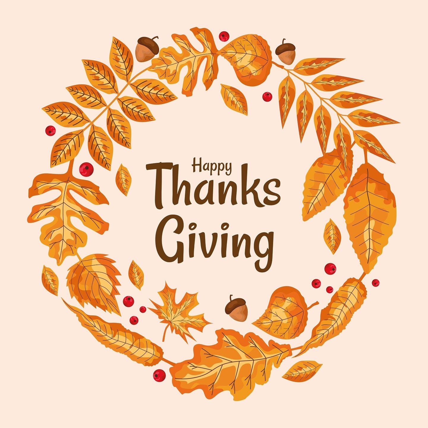 Happy Thanksgiving Day to all our  Garden Pals! We are thankful and very grateful for all our donating families, supporters and followers! We hope you have a lovely day spent with the ones you love. 
.
.
.

@lemon_ave_leopards
#lemonavegardenpals #le