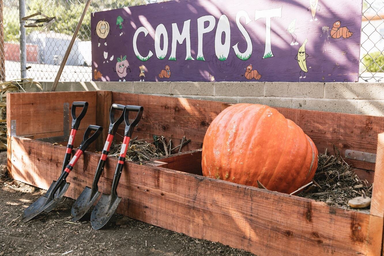 Second graders had fun in the garden. Have you ever tasted a Lucy Glo apple? Do you know what can be added to your compost pile? 
Students learned about compost and had fun chopping up pumpkins that were added, including the giant pumpkin from our ca